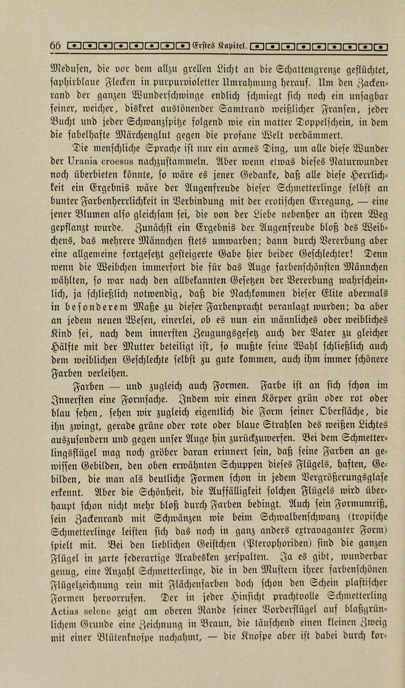 SD^ebiifen, bic uor bcni allsii grellen £id)t an bie (Scljnttengrenjc gef(üc{)tet, fapl)ivblane g-Iecfen in pnrpuvuioletter Umratjinnng herauf. Um ben vnnb ber ganjen SBnnberfcbminge enbtici) fcbmiegt fiel) nod) ein unfagbar feiner, n)eicf)er, bi§fret angtönenber ©nmtranb ir)ei§Iid)er f^ranfen, jeber 93nd)t nnb jeber (Sd)roan5fpit3e folgenb roie ein matter 2)oppeIfd)ein, in bem bie fabelljafte SRärdjenglut gegen bie profane SBett oerbämmert. ®ie menfd)Iid)e 0prnd)e ift mir ein arme§ 2)ing, um aUe biefe SBunber ber Urania croesus nad)3uftamme(n. ^ber roenn etroaS biefe§ iytaturmunber nod^ überbieten fönnte, fo märe e§ jener ©ebanfe, ba§ aüe biefe ^errlid)= feit ein ©rgebniS märe ber 2tngenfreube biefer (Sd)metterlinge fetbft an bunter f5^arbenl)errtid)feit in Sßerbinbung mit ber erütifd}en ©rregung, — eine jener 33Iumen aifo gteidjfam fei, bie oon ber Siebe nebenher an it)ren SBeg gepftanjt ronrbe. 3unäd)ft ein ©rgebniS ber Stugenfreube bIo§ be§ Sßeib* d)en§, ba§ mef)rere SJtönndjen flet§ umroarben; bann burd) SSererbung aber eine allgemeine fortgefe^t gefteigerte ©abe f)ier beiber ©efd)Ied)ter! ®enn roenn bie 2Beibd)en immerfort bie für ba§ 2fuge farbenfcf)önften SJfönnc^en roö^tten, fo roar nad) ben aübefannten ©efe^en ber 33ererbung roaf)rf(^ein» lid), ja fdjtie^lid) notroenbig, ba^ bie Sffadjfommen biefer ©Ute abermals in befonberem SJia^e ju biefer ^arbenprad)t oerantagt rourben; ba aber an jebem neuen Sößefen, einerlei, ob e§ nun ein männUc[)e§ ober roeibUi^eg ^inb fei, nad) bem innerften 3eu9ung§gefe^ aud) ber 33ater ju gleicher ^ölfte mit ber SD^utter beteiligt ift, fo mu^te feine 2Baf)I fd)Iie^Ucf) auef) bem roeiblicf)en ©efd)Iec^te fetbft p gute fommen, aud) if)nt immer fc^önere Starben oerteit)en. ^avben — unb pgteid^ aud) formen, g^arbe ift an fii^ fc^on im innerften eine 3^ormfad)e. ^nbem roir einen S^örper grün ober rot ober blau fet)en, fet)en roir pgteid) eigentlid) bie f^orm feiner Dberftäd)e, bie it)n groingt, gerabe grüne ober rote ober blaue ©trat)ten be§ roei^en Sid)te§ auSgufonbern unb gegen unfer Stuge t)in gurüdguroerfen. Sei bem (3c^metter= ting§ftüget mag nod) gröber baran erinnert fein, ba§ feine 3'avben an ge= roiffen ©ebitben, ben oben erroät)nten ®d)uppen biefe§ ?^tügel§, Vften, ©e= bitben, bie man at§ beutUd)e formen fd)on in jebem Sergro^erungSgtafe erfennt. 3tber bie (5d)önt)eit, bie Stuffättigfeit fotc^en ^lügetS roirb über- t)aupt fd)on nid)t met)r bto^ burd) f^arben bebingt. 3tu^ fein ^-ormumriB, fein Badenranb mit <Sd)roängen roie beim ®d)roatbenfd)roang (,tropifd)e ©d)metterUnge teiften fid) ba§ nod) in gang anber§ ei'traoaganter f^orm) fpiett mit. Sei ben UebUd)en ©eiftd)en (jßteropt)oriben) finb bie gangen glüget in garte feberartige atrabe§fen gerfpatten. 3a e§ gibt, ronnberbar genug, eine 2tngat)I (2d)metterUnge, bie in ben 9Jtuftern i^rer farbenfd)önen 3tügetgeid)nung rein mit f^t^n ben (5d)ein ptaftifd)er formen t)eroorrnfen. 2)er in jeber .^■)infid)t prnd)tüo(te ©d)metterling Actias selene geigt am oberen 9tanbe feiner Sorberftüget auf blajjgrün- Ud)em ©runbe eine 3eid)nnng in Srann, bie tnnfd)enb einen fteinen mit einer Stütenfnofpe nad)nt)mt, — bie Slnofpe aber ift babei burd) for-