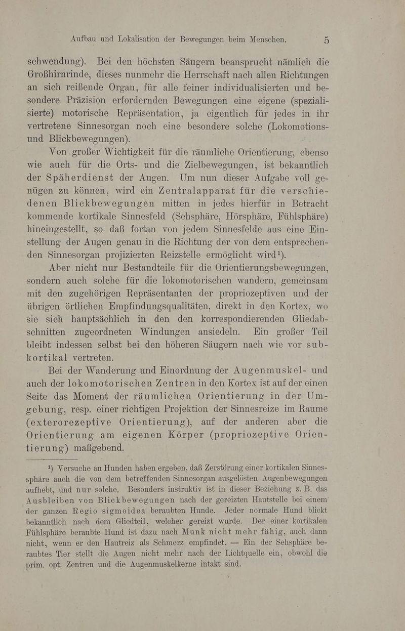 schwendung). Bei den höchsten Säugern beansprucht nämlich die Großhirnrinde, dieses nunmehr die Herrschaft nach allen Richtungen an sich reißende Organ, für alle feiner individualisierten und be- sondere Präzision erfordernden Bewegungen eine eigene (speziali- sierte) motorische Repräsentation, ja eigentlich für jedes in ihr vertretene Sinnesorgan noch eine besondere solche (Lokomotions- und Blickbewegungen). Von.großer Wichtigkeit für die räumliche Orientierung, ebenso wie auch für die Orts- und die Zielbewegungen, ist bekanntlich der Späherdienst der Augen. Um nun dieser Aufgabe voll ge- nügen zu können, wird ein Zentralapparat für die verschie- denen Blickbewegungen mitten in jedes hierfür in Betracht kommende kortikale Sinnesfeld (Sehsphäre, Hörsphäre, Fühlsphäre) hineingestellt, so daß fortan von jedem Sinnesfelde aus eine Ein- stellung der Augen genau in die Richtung der von dem entsprechen- den Sinnesorgan projizierten Reizstelle ermöglicht wird). Aber nicht nur Bestandteile für die Orientierungsbewegungen, sondern auch solche für die lokomotorischen wandern, gemeinsam mit den zugehörigen Repräsentanten der propriozeptiven und der übrigen örtlichen Empfindungsqualitäten, direkt in den Kortex, wo sie sich hauptsächlich in den den korrespondierenden Gliedab- schnitten zugeordneten Windungen ansiedeln. Ein großer Teil bleibt indessen selbst bei den höheren Säugern nach wie vor sub- kortikal vertreten. Bei der Wanderung und Einordnung der Augenmuskel- und auch der lokomotorischen Zentren in den Kortex ist auf der einen Seite das Moment der räumlichen Orientierung in der Um- sebung, resp. einer richtigen Projektion der Sinnesreize im Raume (exterorezeptive Orientierung), auf der anderen aber die Orientierung am eigenen Körper (propriozeptive Orien- tierung) maßgebend. 1) Versuche an Hunden haben ergeben, daß Zerstörung einer kortikalen Sinnes- sphäre auch die von dem betreffenden Sinnesorgan ausgelösten Augenbewegungen aufhebt, und nur solche. Besonders instruktiv ist in dieser Beziehung z. B. das Ausbleiben von Bliekbewegungen nach der gereizten Hautstelle bei einem der ganzen Regio sigmoidea beraubten Hunde. Jeder normale Hund blickt bekanntlich nach dem Gliedteil, welcher gereizt wurde. Der einer kortikalen Fühlsphäre beraubte Hund ist dazu nach Munk nicht mehr fähig, auch dann nicht, wenn er den Hautreiz als Schmerz empfindet. — Ein der Sehsphäre be- raubtes Tier stellt die Augen nicht mehr nach der Lichtquelle ein, obwohl die prim. opt. Zentren und die Augenmuskelkerne intakt sind.