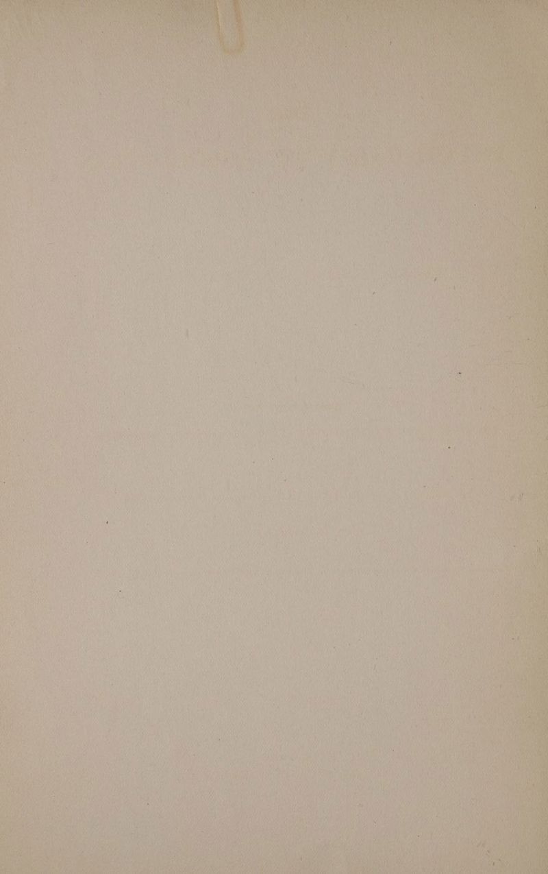 MeN i hy a fi ae 7 De OAT eel Aiwa sty aera DP at ty ryan, (ex