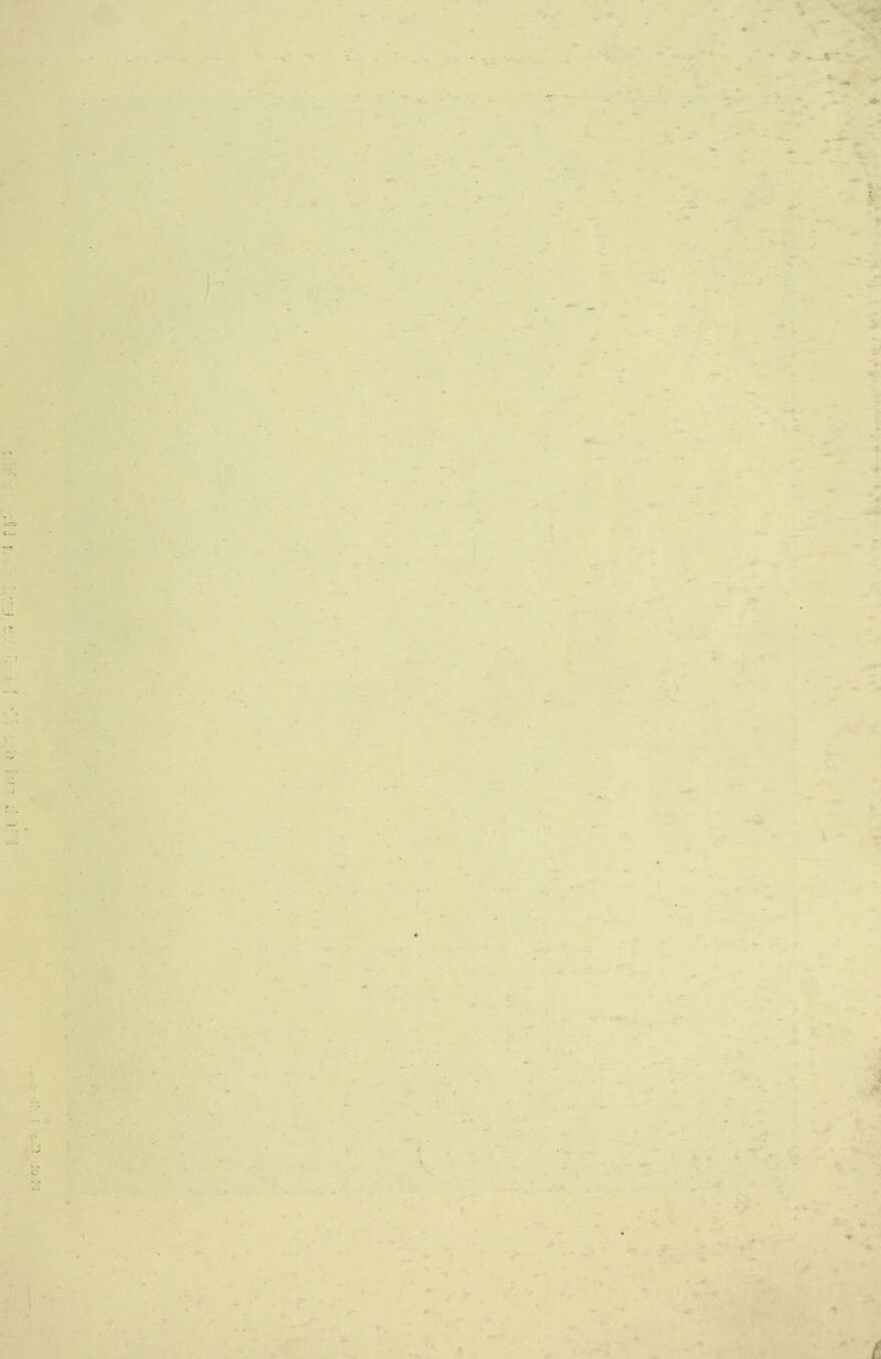 ÜW'. 1 . .. ü ^f k « \ • If. • -■ /. • • :- » \ 1 i 'S •4 % c ,*5^ - * 4- -'•V Ä* / -X'- .-H» ' V I: . jL ^^4 H i 'S- -Ai \. - ' ^ - .* * c» ' ^ ¥ » m i >■> «=!, <r'. r- , >'■ • V .r. \ ' v“ ’tf*. v '‘^• r :'^,. .f* 4:, V/v, •A. If •s •,/ V * -V A r / •' i. f» •7 i f4 ' ’j< 1 ■T -4 *«■ >, j ,.. ., < 5- .H *• .'■ ', fl.-. *• . ' ^ ’ V ’ > ' . : ^ J: ^ V»? I ^ * r% 'i ^ ■» •f y 't' Jl c: ,'ja V