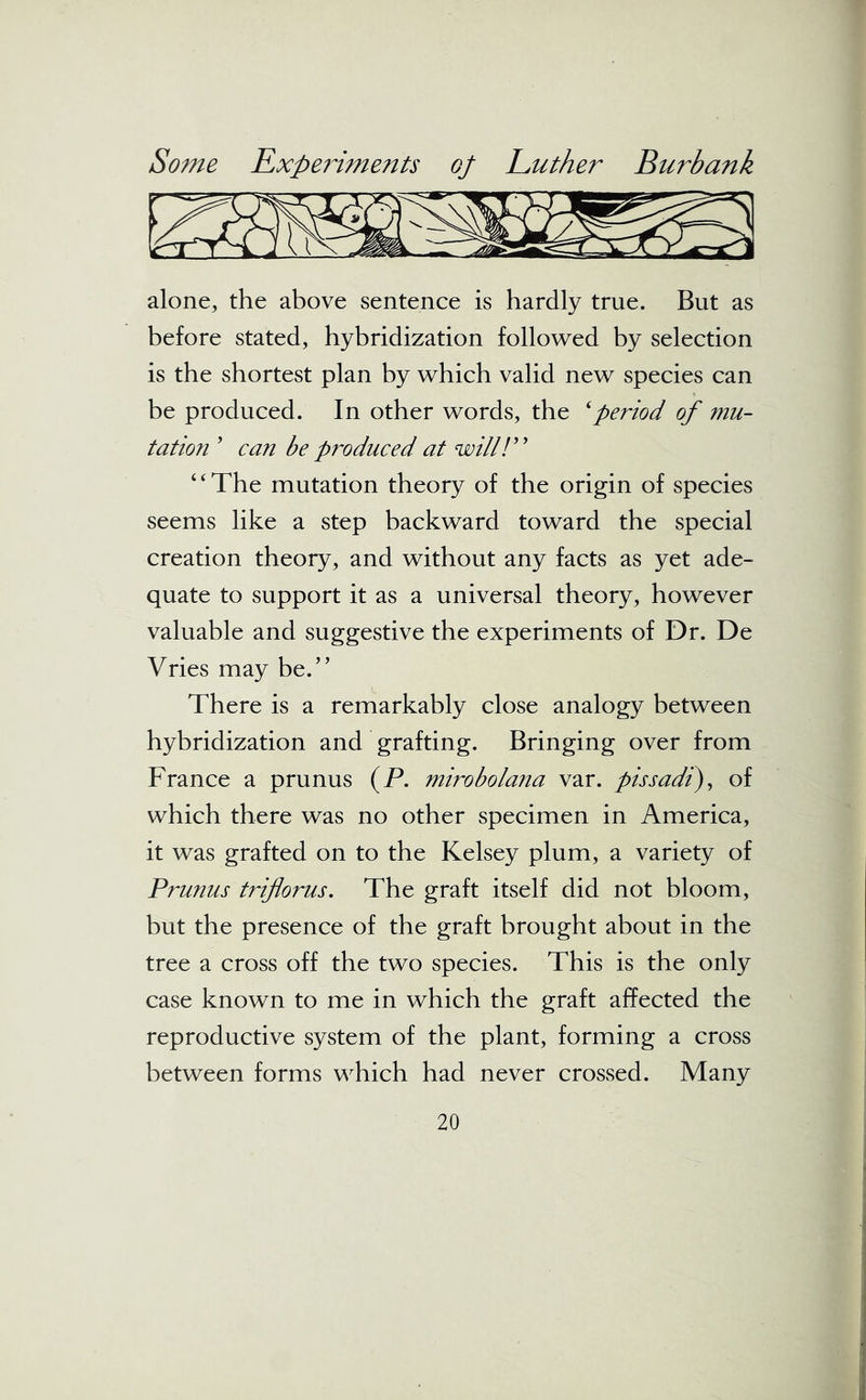 alone, the above sentence is hardly true. But as before stated, hybridization followed by selection is the shortest plan by which valid new species can be produced. In other words, the ‘period of mu- tation 9 can be produced at will!” ‘ ‘ The mutation theory of the origin of species seems like a step backward toward the special creation theory, and without any facts as yet ade- quate to support it as a universal theory, however valuable and suggestive the experiments of Dr. De Vries may be.” There is a remarkably close analogy between hybridization and grafting. Bringing over from France a prunus (P. mirobolana var. pissadi), of which there was no other specimen in America, it was grafted on to the Kelsey plum, a variety of Prunus triflorus. The graft itself did not bloom, but the presence of the graft brought about in the tree a cross off the two species. This is the only case known to me in which the graft affected the reproductive system of the plant, forming a cross between forms which had never crossed. Many