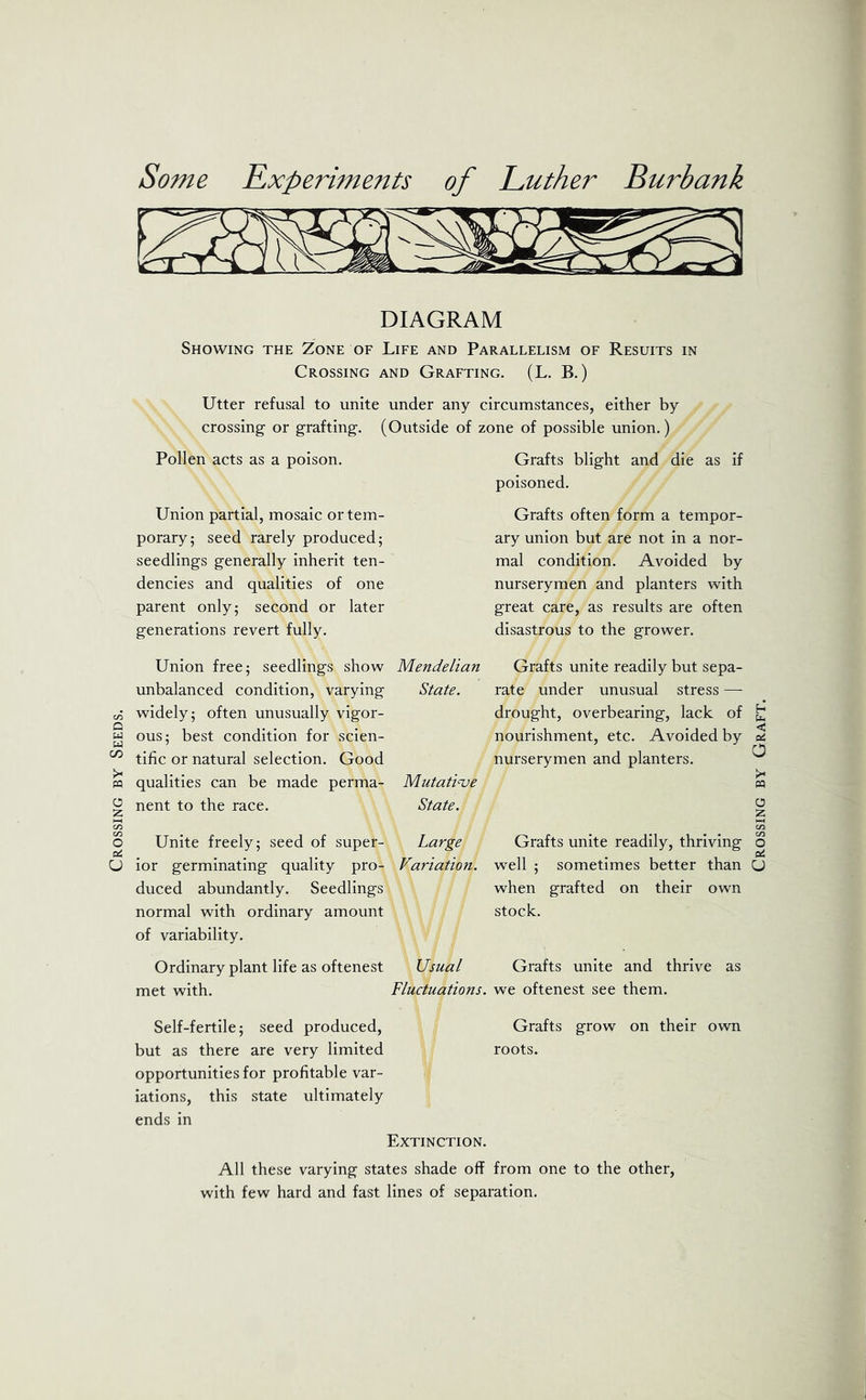 Crossing by Seeds. DIAGRAM Showing the Zone of Life and Parallelism of Resuits in Crossing and Grafting. (L. B.) Utter refusal to unite under any circumstances, either by crossing or grafting. (Outside of zone of possible union.) Pollen acts as a poison. Grafts blight and die as if poisoned. Union partial, mosaic or tem- porary; seed rarely produced; seedlings generally inherit ten- dencies and qualities of one parent only; second or later generations revert fully. Union free; seedlings show unbalanced condition, varying widely; often unusually vigor- ous; best condition for scien- tific or natural selection. Good qualities can be made perma- nent to the race. Unite freely; seed of super- ior germinating quality pro- duced abundantly. Seedlings normal with ordinary amount of variability. Ordinary plant life as oftenest met with. Mendelian State. Mutative State. Large Vaviation. Usual Grafts often form a tempor- ary union but are not in a nor- mal condition. Avoided by nurserymen and planters with great care, as results are often disastrous to the grower. Grafts unite readily but sepa- rate under unusual stress — drought, overbearing, lack of nourishment, etc. Avoided by nurserymen and planters. Grafts unite readily, thriving well ; sometimes better than when grafted on their own stock. Grafts unite and thrive as Fluctuations. we oftenest see them. Grafts roots. grow on their own Self-fertile; seed produced, but as there are very limited opportunities for profitable var- iations, this state ultimately ends in Extinction. All these varying states shade off from one to the other, with few hard and fast lines of separation. Crossing by Graft.