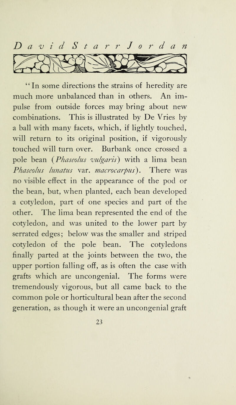 “In some directions the strains of heredity are much more unbalanced than in others. An im- pulse from outside forces may bring about new combinations. This is illustrated by De Vries by a ball with many facets, which, if lightly touched, will return to its original position, if vigorously touched will turn over. Burbank once crossed a pole bean (Phaseo/us vulgaris) with a lima bean Phaseolus lunatus var. macrocarpus). There was no visible effect in the appearance of the pod or the bean, but, when planted, each bean developed a cotyledon, part of one species and part of the other. The lima bean represented the end of the cotyledon, and was united to the lower part by serrated edges; below was the smaller and striped cotyledon of the pole bean. The cotyledons finally parted at the joints between the two, the upper portion falling off, as is often the case with grafts which are uncongenial. The forms were tremendously vigorous, but all came back to the common pole or horticultural bean after the second generation, as though it were an uncongenial graft