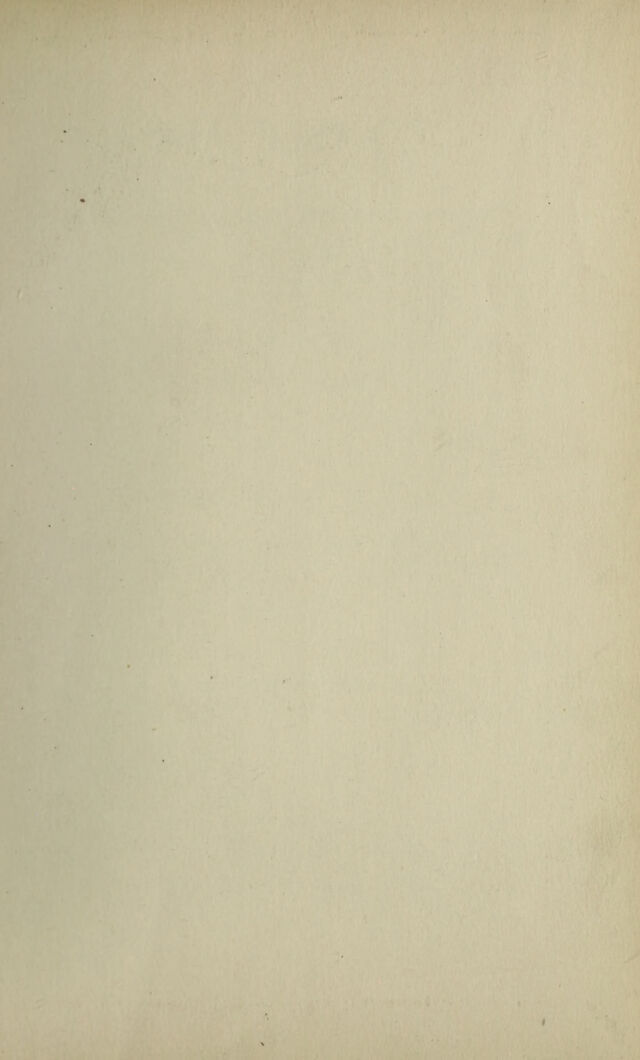 digitised image 3