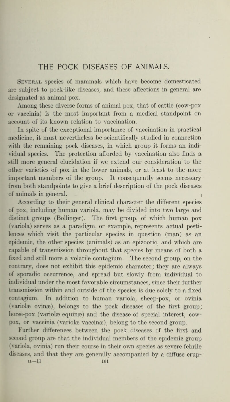 THE POCK DISEASES OF ANIMALS. Several species of mammals which have become domesticated are subject to pock-like diseases, and these affections in general are designated as animal pox. Among these diverse forms of animal pox, that of cattle (cow-pox or vaccinia) is the most important from a medical standpoint on account of its known relation to vaccination. In spite of the exceptional importance of vaccination in practical medicine, it must nevertheless be scientifically studied in connection with the remaining pock diseases, in which group it forms an indi- vidual species. The protection afforded by vaccination also finds a still more general elucidation if we extend our consideration to the other varieties of pox in the lower animals, or at least to the more important members of the group. It consequently seems necessary from both standpoints to give a brief description of the pock diseases of animals in general. ^ According to their general clinical character the different species of pox, including human variola, may be divided into two large and distinct groups (Bollinger). The first group, of which human pox (variola) serves as a paradigm, or example, represents actual pesti- lences which visit the particular species in question (man) as an epidemic, the other species (animals) as an epizootic, and which are capable of transmission throughout that species by means of both a fixed and still more a volatile contagium. The second group, on the contrary, does not exhibit this epidemic character; they are always of sporadic occurrence, and spread but slowly from individual to individual under the most favorable circumstances, since their further transmission within and outside of the species is due solely to a fixed contagium. In addition to human variola, sheep-pox, or ovinia (variola ovina), belongs to the pock diseases of the first group; horse-pox (variola equina) and the disease of special interest, cow- pox, or vaccinia (variola vaccina), belong to the second group. Further differences between the pock diseases of the first and second group are that the individual members of the epidemic group (variola, ovinia) run their course in their own species as severe febrile diseases, and that they are generally accompanied by a diffuse erup-