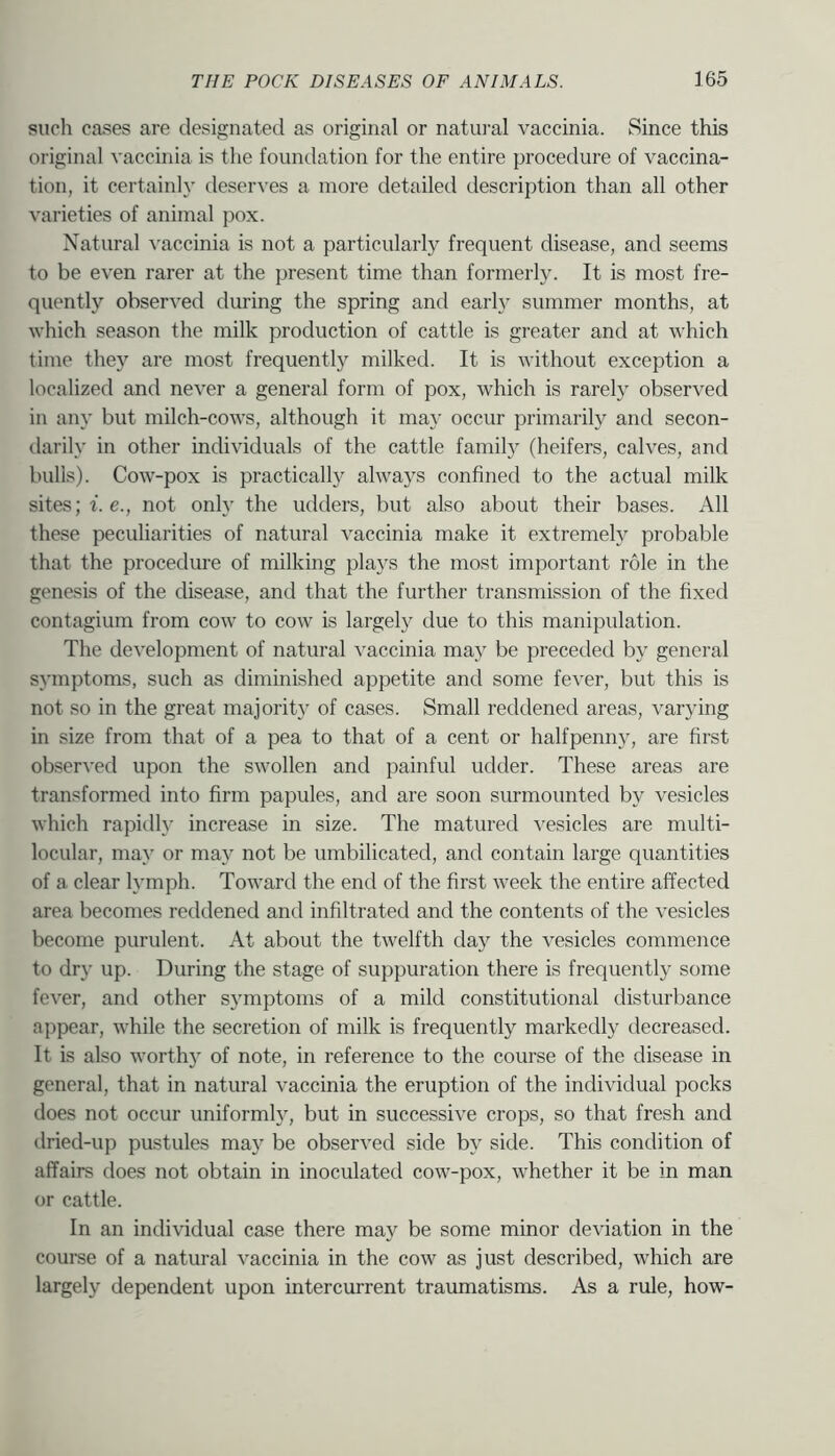 such cases are designated as original or natural vaccinia. Since this original vaccinia is the foundation for the entire procedure of vaccina- tion, it certainly deserves a more detailed description than all other varieties of animal pox. Natural vaccinia is not a particularly frequent disease, and seems to be even rarer at the present time than formerly. It is most fre- quently observed during the spring and early summer months, at which season the milk production of cattle is greater and at which time they are most frequently milked. It is without exception a localized and never a general form of pox, which is rarely observed in any but milch-cows, although it may occur primarily and secon- darily in other individuals of the cattle farnil}^ (heifers, calves, and bulls). Cow-pox is practically ahvays confined to the actual milk sites; f.e., not only the udders, but also about their bases. All these peculiarities of natural vaccinia make it extremely probable that the procedure of milking plays the most important role in the genesis of the disease, and that the further transmission of the fixed contagium from cow to cow is largely due to this manipulation. The development of natural vaccinia ma}^ be preceded by general symptoms, such as diminished appetite and some fever, but this is not so in the great majority of cases. Small reddened areas, varying in size from that of a pea to that of a cent or halfpenny, are first observed upon the swollen and painful udder. These areas are transformed into firm papules, and are soon surmounted by vesicles which rapidly increase in size. The matured vesicles are multi- locular, may or may not be umbilicated, and contain large quantities of a clear lymph. Toward the end of the first week the entire affected area becomes reddened and infiltrated and the contents of the vesicles become purulent. At about the twelfth day the vesicles commence to dry up. During the stage of suppuration there is frequently some fever, and other symptoms of a mild constitutional disturbance appear, while the secretion of milk is frequently markedly decreased. It is also worth)’ of note, in reference to the course of the disease in general, that in natural vaccinia the eruption of the individual pocks does not occur uniformly, but in successive crops, so that fresh and dried-up pustules may be observed side by side. This condition of affairs does not obtain in inoculated cow-pox, whether it be in man or cattle. In an individual case there may be some minor de\fiation in the course of a natural vaccinia in the cow as just described, which are largely dependent upon intercurrent traumatisms. As a rule, how-