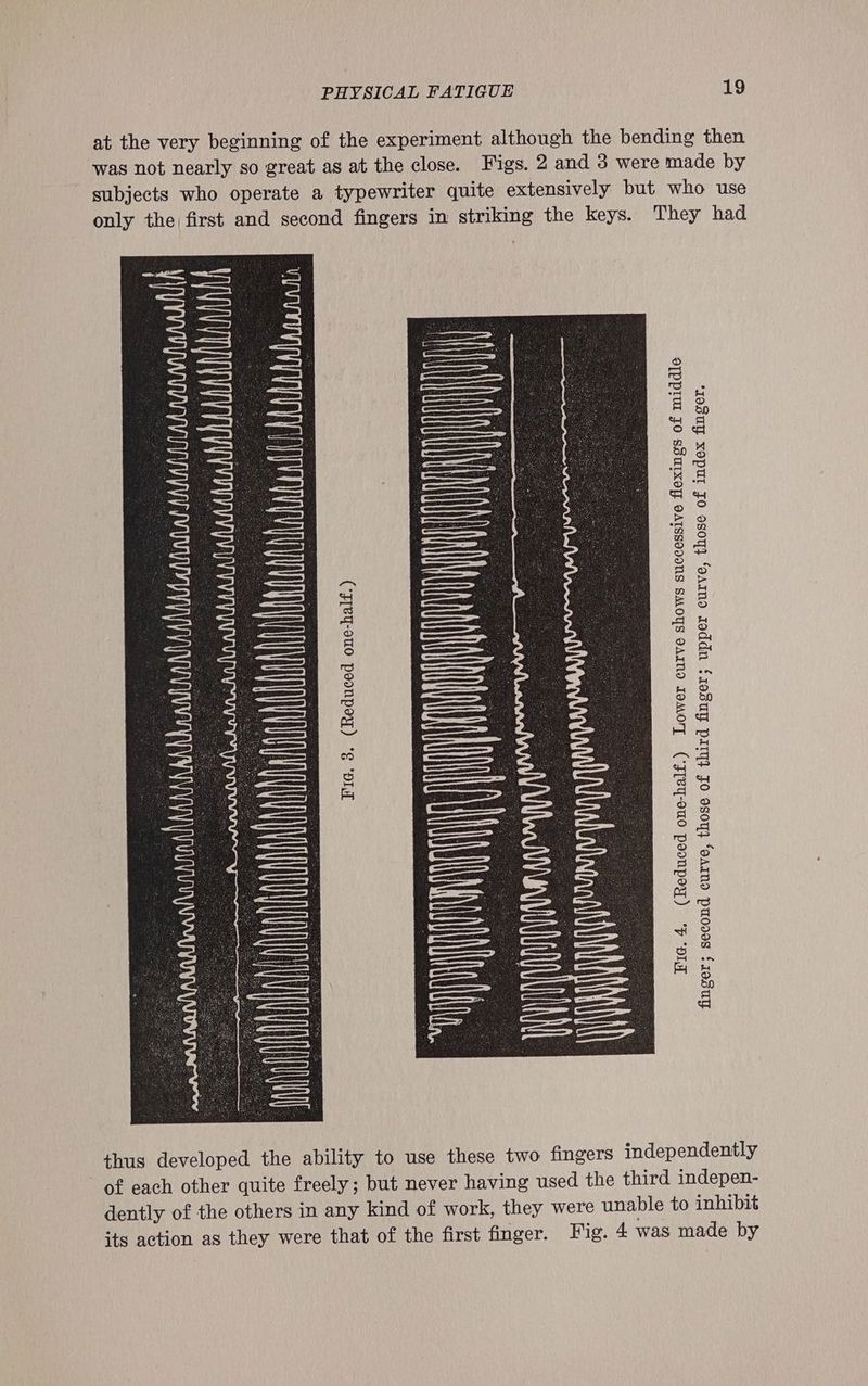 at the very beginning of the experiment although the bending then was not nearly so great as at the close. Figs. 2 and 3 were made by subjects who operate a typewriter quite extensively but who use only the first and second fingers in striking the keys. They had Fig. 38. (Reduced one-half.) Fig. 4. (Reduced one-half.) Lower curve shows successive flexings of middle finger; second curve, those of third finger; upper curve, those of index finger. thus developed the ability to use these two fingers independently of each other quite freely; but never having used the third indepen- dently of the others in any kind of work, they were unable to inhibit its action as they were that of the first finger. Fig. 4 was made by