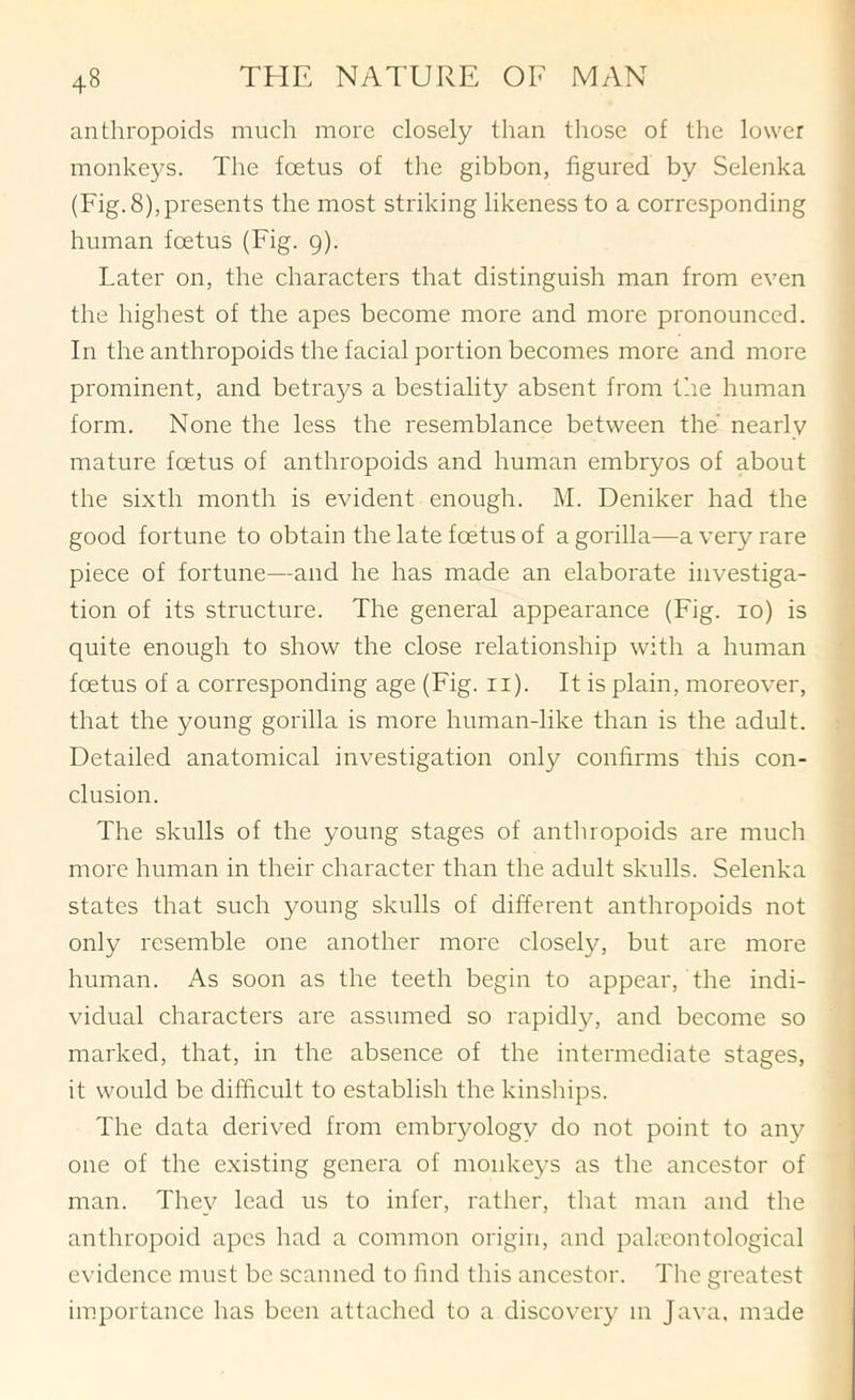 anthropoids much more closely than tliose of the lower monkeys. The foetus of the gibbon, figured by Selenka (Fig. 8), presents the most striking likeness to a corresponding human foetus (Fig. 9). Later on, the characters that distinguish man from even the highest of the apes become more and more pronounced. In the anthropoids the facial portion becomes more and more prominent, and betrays a bestiality absent from the human form. None the less the resemblance between the nearly mature foetus of anthropoids and human embryos of about the sixth month is evident enough. M. Deniker had the good fortune to obtain the late foetus of a gorilla—a very rare piece of fortune—and he has made an elaborate investiga- tion of its structure. The general appearance (Fig. 10) is quite enough to show the close relationship with a human foetus of a corresponding age (Fig. ii). It is plain, moreover, that the young gorilla is more human-like than is the adult. Detailed anatomical investigation only confirms this con- clusion. The skulls of the young stages of antliropoids are much more human in their character than the adult skulls. Selenka states that such young skulls of different anthropoids not only resemble one another more closely, but are more human. As soon as the teeth begin to appear, the indi- vidual characters are assumed so rapidly, and become so marked, that, in the absence of the intermediate stages, it would be difficult to establish the kinships. The data derived from embryology do not point to aii}^ one of the existing genera of monkeys as the ancestor of man. They lead us to infer, rather, that man and the anthropoid apes had a common origin, and paheontological evidence must be scanned to find this ancestor. The greatest importance has been attached to a discovery in Java, made