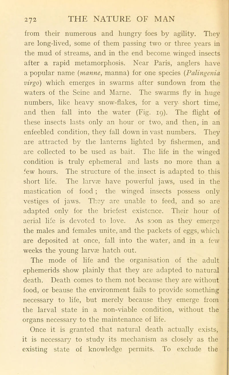 from their numerous and hungry foes by agility. They are long-lived, some of them passing two or three years in the mud of streams, and in the end become, winged insects after a rapid metamorphosis. Near Paris, anglers have a popular name {manne, manna) for one species {Palingenia virgo) which emerges in swarms after sundown from the waters of the Seine and Marne. The swarms fly in huge numbers, like heavy snow-flakes, for a very short time, and then fall into the water (Fig. 19). The flight of these insects lasts only an hour or two, and then, in an enfeebled condition, they fall down in vast numbers. They are attracted by the lanterns lighted by fishermen, and are collected to be used as bait. The life in the winged condition is truly ephemeral and lasts no more than a few hours. The structure of the insect is adapted to this short life. The larv?e have powerful jaws, used in the mastication of food ; the winged insects possess only vestiges of jaws. They are unable to feed, and so are adapted only for the briefest existence. Their hour of aerial life is devoted to love. As soon as they emerge the males and females unite, and the packets of eggs, which are deposited at once, fall into the water, and in a few weeks the young larvae hatch out. The mode of life and the organisation of the adult ephemerids show plainly that they are adapted to natural death. Death comes to them not because they are without food, or beause the environment fails to provide something necessary to life, but merely because they emerge from the larval state in a non-viable condition, without the organs necessary to the maintenance of life. Once it is granted that natural death actually exists, it is necessary to study its mechanism as closely as the existing state of knowledge permits. To exclude the