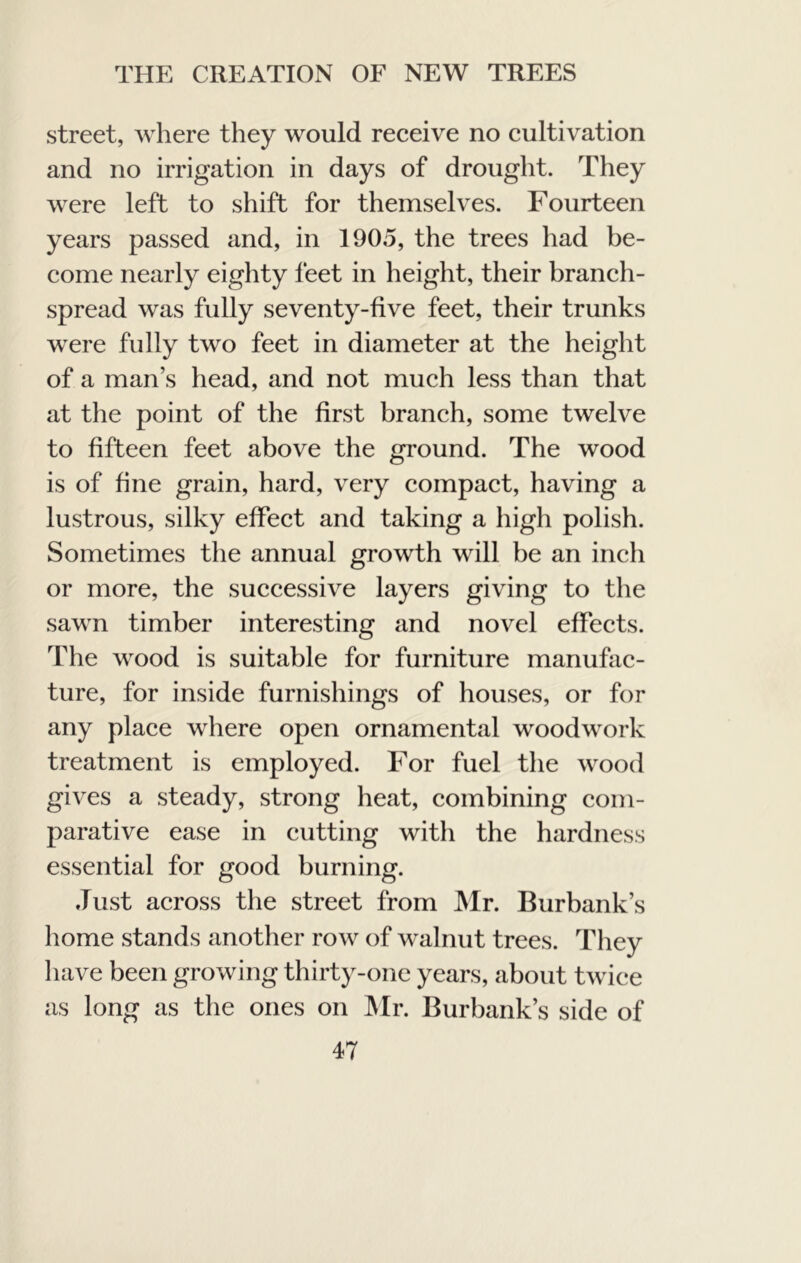 street, where they would receive no cultivation and no irrigation in days of drought. They were left to shift for themselves. Fourteen years passed and, in 1905, the trees had be- come nearly eighty feet in height, their branch- spread was fully seventy-five feet, their trunks were fully two feet in diameter at the height of a man’s head, and not much less than that at the point of the first branch, some twelve to fifteen feet above the ground. The wood is of fine grain, hard, very compact, having a lustrous, silky effect and taking a high polish. Sometimes the annual growth will be an inch or more, the successive layers giving to the sawn timber interesting and novel effects. The wood is suitable for furniture manufac- ture, for inside furnishings of houses, or for any place where open ornamental woodwork treatment is employed. For fuel the wood gives a steady, strong heat, combining com- parative ease in cutting with the hardness essential for good burning. Just across the street from Mr. Burbank’s home stands another row of walnut trees. They have been growing thirty-one years, about twice as long as the ones on IMr. Burbank’s side of