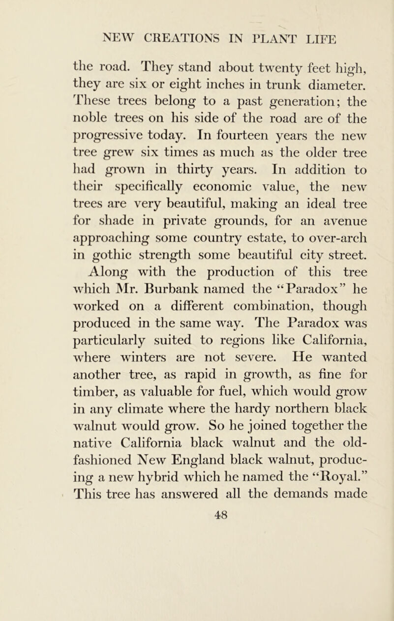 the road. They stand about twenty feet high, they are six or eight inches in trunk diameter. These trees belong to a past generation; the noble trees on his side of the road are of the progressive today. In fourteen years the new tree grew six times as much as the older tree had grown in thirty years. In addition to their specifically economic value, the new trees are very beautiful, making an ideal tree for sliade in private grounds, for an avenue approaching some country estate, to over-arch in gothic strength some beautiful city street. Along with the production of this tree which Mr. Burbank named the “Paradox” he worked on a different combination, though produced in the same way. The Paradox was particularly suited to regions like California, where winters are not severe. He wanted another tree, as rapid in growth, as fine for timber, as valuable for fuel, which would grow in any climate where the hardy northern black walnut would grow. So he joined together the native California black walnut and the old- fashioned New England black walnut, produc- ing a new hybrid which he named the “Royal.” ■ This tree has answered all the demands made