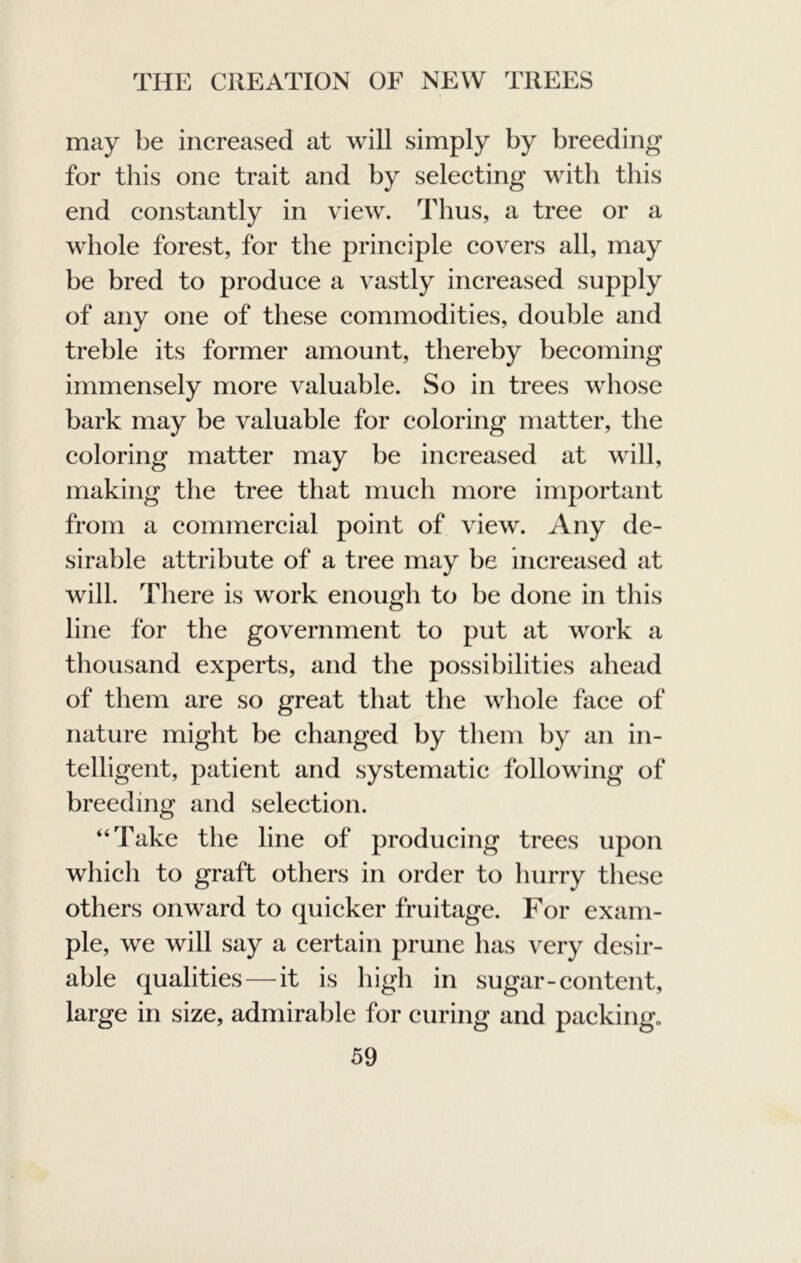 may be increased at will simply by breeding for this one trait and by selecting with this end constantly in view. Thus, a tree or a whole forest, for the principle covers all, may he bred to produce a vastly increased supply of any one of these commodities, double and treble its former amount, thereby becoming immensely more valuable. So in trees whose bark may be valuable for coloring matter, the coloring matter may be increased at will, making the tree that much more important from a commercial point of view. Any de- sirable attribute of a tree may be increased at will. There is work enough to be done in this line for the government to put at work a thousand experts, and the possibilities ahead of them are so great that the whole face of nature might be changed by tlieni by an in- telligent, patient and systematic following of breeding and selection. “Take the line of producing trees upon which to graft others in order to hurry tliese others onward to (piicker fruitage. For exam- ple, we will say a certain prune has very desir- able qualities — it is high in sugar-content, large in size, admirable for curing and packing.