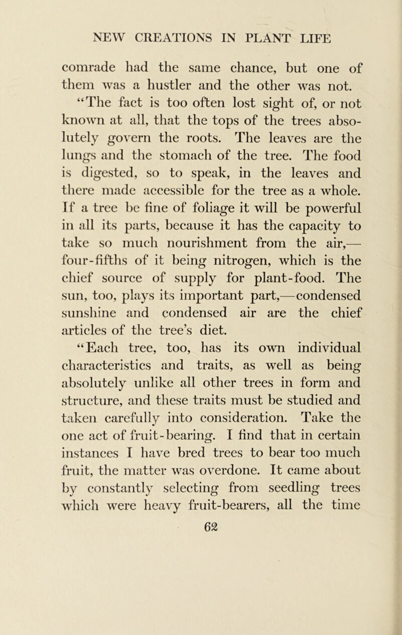 comrade had the same chance, but one of them was a hustler and the other was not. “The fact is too often lost sight of, or not known at all, that the tops of the trees abso- lutely govern the roots. The leaves are the lungs and the stomach of the tree. The food is digested, so to speak, in the leaves and there made accessible for the tree as a whole. If a tree be fine of foliage it will be powerful in all its parts, because it has the capacity to take so much nourishment from the air,— four-fifths of it being nitrogen, which is the chief source of supply for plant-food. The sun, too, plays its important part,—condensed sunshine and condensed air are the chief articles of the tree’s diet. “Each tree, too, has its own individual characteristics and traits, as well as being absolutely unlike all other trees in form and structure, and these traits must be studied and taken carefully into consideration. Take the one act of fruit-bearing. I find that in certain instances I have bred trees to bear too much fruit, the matter was overdone. It came about by constantly selecting from seedling trees which were heavy fruit-bearers, all the time