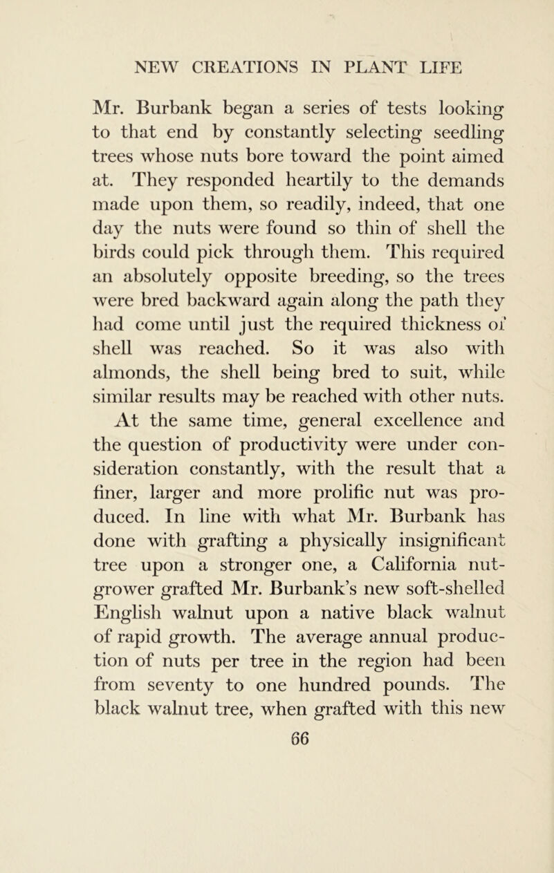 Mr. Burbank began a series of tests looking to that end by constantly selecting seedling trees whose nuts bore toward the point aimed at. They responded heartily to the demands made upon them, so readily, indeed, that one day the nuts were found so thin of shell the birds could pick through them. This required an absolutely opposite breeding, so the trees were bred backward again along the path they liad come until just the required thickness oi shell was reached. So it was also with almonds, the shell being bred to suit, while similar results may be reached with other nuts. At the same time, general excellence and the question of productivity were under con- sideration constantly, with the result that a finer, larger and more prolific nut was pro- duced. In line with what Mr. Burbank has done with grafting a physically insignificant tree upon a stronger one, a California nut- grower grafted Mr. Burbank’s new soft-shelled English walnut upon a native black walnut of rapid growth. The average annual produc- tion of nuts per tree in the region had been from seventy to one hundred pounds. The black wahiut tree, when grafted with this new