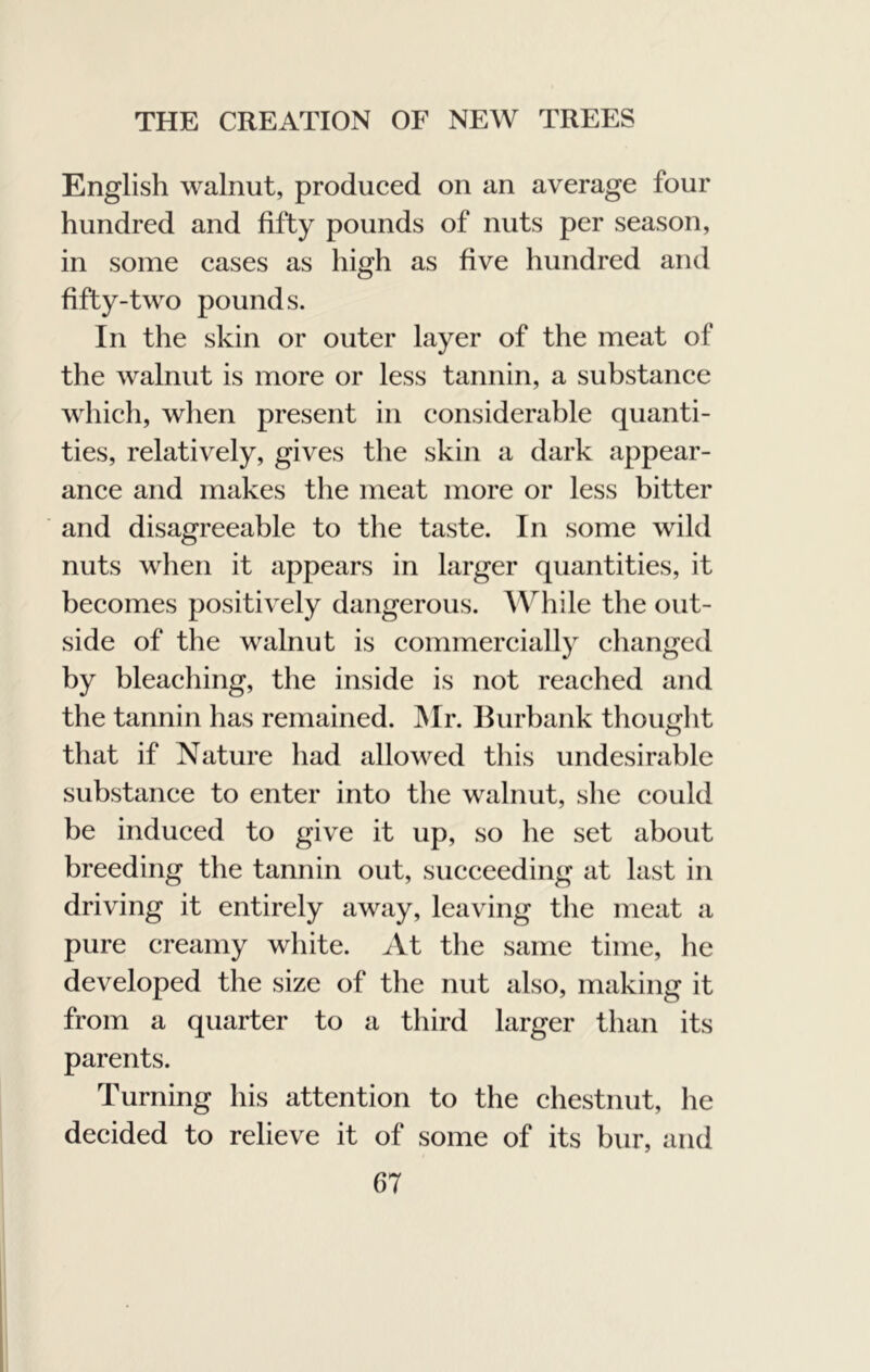 English walnut, produced on an average four hundred and fifty pounds of nuts per season, in some cases as high as five hundred and fifty-two pounds. In the skin or outer layer of the meat of the walnut is more or less tannin, a substance which, when present in considerable quanti- ties, relatively, gives the skin a dark appear- ance and makes the meat more or less bitter and disagreeable to the taste. In some wild nuts when it appears in larger quantities, it becomes positively dangerous. A\^hile the out- side of the walnut is commercially changed by bleaching, the inside is not reached and the tannin has remained. IMr. Burbank thought that if Nature had allowed this undesirable substance to enter into the walnut, she could be induced to give it up, so he set about breeding the tannin out, succeeding at last in driving it entirely away, leaving the meat a pure creamy white. At the same time, he developed the size of the nut also, making it from a quarter to a third larger than its parents. Turning his attention to the chestnut, he decided to relieve it of some of its bur, and