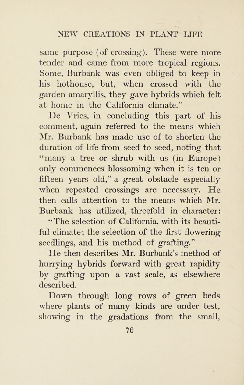 same purpose (of crossing). These were more tender and came from more tropical regions. Some, Burbank was even obliged to keep in his hothouse, but, when crossed with the garden amaryllis, they gave hybrids which felt at home in the California climate.” De ^ries, in concluding this part of his comment, again referred to the means which Mr. Burbank has made use of to shorten the duration of life from seed to seed, noting that “many a tree or shrub with us (in Europe) only commences blossoming when it is ten or fifteen years old,” a great obstacle especially when repeated crossings are necessary. He then calls attention to the means which Mr. Burbank has utilized, threefold in character: “The selection of California, with its beauti- ful climate; the selection of the first flowering seedlings, and his method of grafting.” He then describes Mr. Burbank’s method of hurrying hybrids forward with great rapidity by grafting upon a vast scale, as elsewhere described. Down through long rows of green beds where plants of many kinds are under test, showing in the gradations from the small,