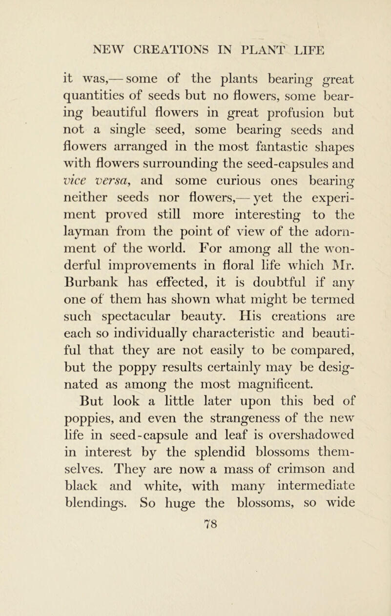 it was,— some of the plants bearing great quantities of seeds but no flowers, some bear- ing beautiful flowers in great profusion but not a single seed, some bearing seeds and flowers arranged in the most fantastic shapes with flowers surrounding the seed-capsules and vice versa, and some curious ones bearing neither seeds nor flowers,— yet the experi- ment proved still more interesting to the layman from the point of view of the adorn- ment of tlie world. For among all the won- derful improvements in floral life which JMr. Burbank has effected, it is doubtful if any one of them has shown what might be termed such spectacular beauty. His creations are each so individually characteristic and beauti- ful that they are not easily to be compared, but the poppy results certainly may be desig- nated as among the most magnificent. But look a little later upon this bed of poppies, and even the strangeness of the new life in seed-capsule and leaf is overshadowed in interest by the splendid blossoms them- selves. They are now a mass of crimson and black and white, with many intermediate blendings. So huge the blossoms, so wide