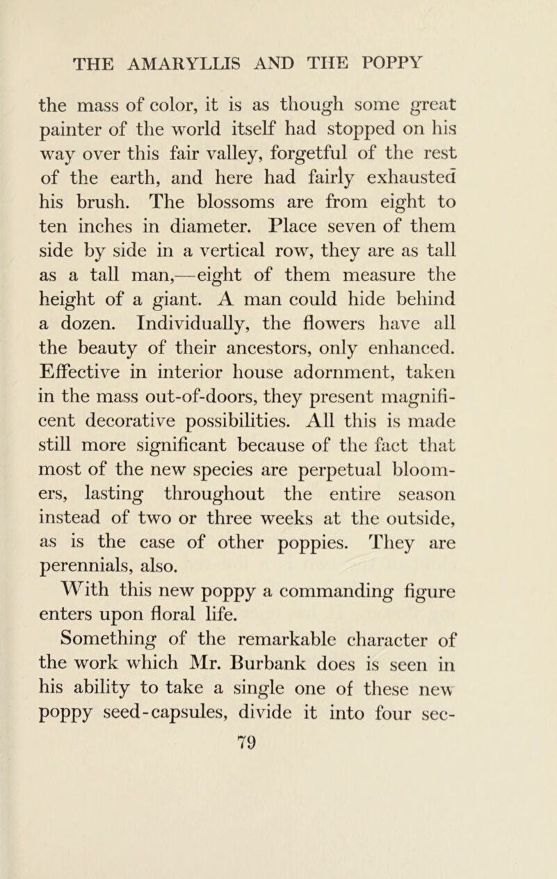the mass of color, it is as though some great painter of the world itself had stopped on his way over this fair valley, forgetful of the rest of the earth, and here had fairly exhausted his brush. The blossoms are from eight to ten inches in diameter. Place seven of tliem side by side in a vertical row, they are as tall as a tall man,—eight of them measure the height of a giant. A man could hide behind a dozen. Individually, the flowers have all the beauty of their ancestors, only enhanced. Effective in interior house adornment, taken in the mass out-of-doors, they present magnifi- cent decorative possibilities. All tliis is made still more significant because of the fact that most of the new species are perpetual bloom- ers, lasting throughout the entire season instead of two or three weeks at the outside, as is the case of other poppies. They are perennials, also. With this new poppy a commanding figure enters upon floral life. Something of the remarkable character of the work which Mr. Burbank does is seen in his ability to take a single one of these new poppy seed-capsules, divide it into four sec-