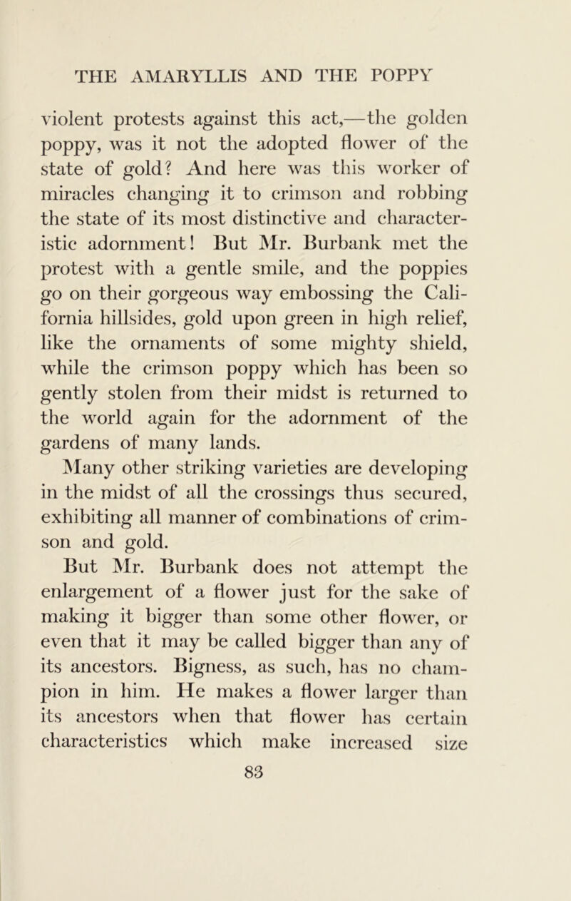 violent protests against this aet,—the golden poppy, was it not the adopted flower of the state of gold? And here was tliis worker of miraeles changing it to crimson and robbing the state of its most distinctive and character- istic adornment! But Mr. Burbank met the protest with a gentle smile, and the poppies go on their gorgeous way embossing the Cali- fornia hillsides, gold upon green in high relief, like the ornaments of some mighty shield, while the crimson poppy which has been so gently stolen from their midst is returned to the world again for the adornment of the gardens of many lands. Many other striking varieties are developing in the midst of all the crossings thus secured, exhibiting all manner of combinations of crim- son and gold. But Mr. Burbank does not attempt the enlargement of a flower just for the sake of making it bigger than some other flower, or even that it may be called bigger than any of its ancestors. Bigness, as sucli, has no cham- pion in him. He makes a flower larger than its ancestors when that flower has certain characteristics which make increased size