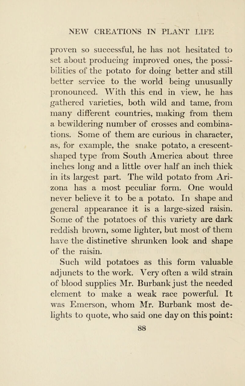 proven so successful, he has not hesitated to set about producing improved ones, the possi- bilities of the potato for doing better and still better service to the world being unusually pronounced. With this end in view, he has gathered varieties, both wild and tame, from many different countries, making from them a bewildering number of crosses and combina- tions. Some of them are curious in character, as, for example, the snake potato, a crescent- shaped type from South America about three inches long and a little over half an inch thick in its largest part. The wild potato from Ari- zona has a most peculiar form. One would never believe it to be a potato. In shape and general appearance it is a large-sized raisin. Some of the potatoes of this variety are dark reddish brown, some lighter, but most of them have the distinctive shrunken look and shape of the raisin. Such wild potatoes as this form valuable adjuncts to the work, ^^ery often a wild strain of blood supplies Mr. Burbank just the needed element to make a weak race powerful. It was Emerson, whom Mr. Burbank most de- lights to quote, who said one day on this point: