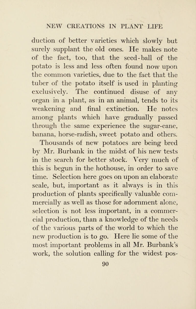 duction of better varieties which slowly but surely supplant the old ones. He makes note of the fact, too, that the seed-ball of the potato is less and less often found now upon the common varieties, due to the fact that the tuber of the potato itself is used in planting exclusively. The continued disuse of any organ in a plant, as in an animal, tends to its weakening and final extinction. He notes among plants which have gradually passed through the same experience the sugar-cane, banana, horse-radish, sweet potato and others. Thousands of new potatoes are being bred by Hr. Eurbank in the midst of his new tests in the search for better stock. Very much of this is begun in the hothouse, in order to save time. Selection here goes on upon an elaborate scale, but, important as it always is in this production of plants specifically valuable com- mercially as well as those for adornment alone, selection is not less important, in a commer- cial production, than a knowledge of the needs of the various parts of the world to which the new production is to go. Here lie some of the most important problems in all Mr. Burbank s work, the solution calling for the widest pos-