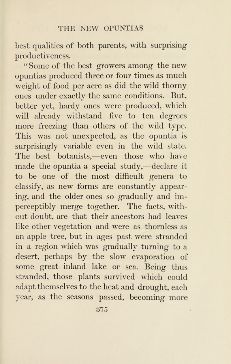 best qualities of both parents, with surprising productiveness. ‘‘Some of the best growers among the new opuntias produced three or four times as much weight of food per acre as did the wild thorny ones under exactly the same conditions. But, better yet, hardy ones were produced, which will already withstand five to ten degrees more freezing than others of the wild type. This was not unexpected, as the opuntia is surprisingly variable even in the wild state. The best botanists,—even those who have made the opuntia a special study,—declare it to be one of the most difficult genera to classify, as new forms are constantly appear- ing, and the older ones so gradually and im- perceptibly merge together. The facts, with- out doubt, are that their ancestors had leaves like other vegetation and were as thornless as an apple tree, but in ages past were stranded in a region which was gradually turning to a desert, perhaps by the slow evaporation of some great inland lake or sea. Being thus stranded, those plants survived which could adapt themselves to the heat and drought, each year, as the seasons passed, becoming more