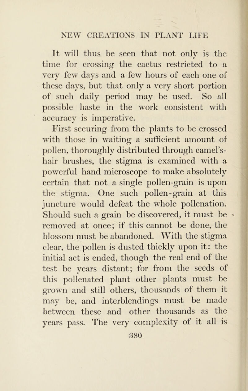 It will thus be seen that not only is the time for crossing the cactus restricted to a very few days and a few hours of each one of these days, hut that only a very short portion of such daily period may be used. So all possible haste in the work consistent with accuracy is imperative. First securing from the plants to be crossed with those in waiting a sufficient amount of ])ollen, thoroughly distributed through camel’s- hair brushes, the stigma is examined with a powerful hand microscope to make absolutely certain that not a single pollen-grain is upon the stigma. One such pollen-grain at this juncture would defeat the whole pollenation. Should such a grain be discovered, it must be ’ removed at once; if tliis cannot be done, the blossom must be abandoned. With the stigma clear, the pollen is dusted thickly upon it: the initial act is ended, though the real end of the test be years distant; for from the seeds of this pollenated plant other plants must be grown and still others, thousands of them it may be, and interblendings must be made between these and other thousands as the years pass. The very complexity of it all is