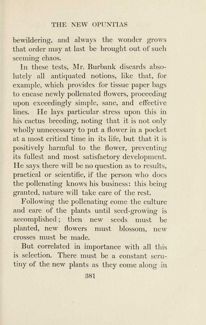 bewildering, and always the wonder grows that order may at last be brought out of such seeming chaos. In these tests, JNlr. Burbank discards abso- lutely all antiquated notions, like tliat, for example, which provides for tissue paper bags to encase newly pollenated flowers, proceeding upon exceedingly simple, sane, and effective lines. He lays particular- stress upon this in his cactus breeding, noting that it is not only wholly unnecessary to put a flower in a pocket at a most critical time in its life, but tliat it is positively harmful to the flower, preventing its fullest and most satisfactory development. He says there will be no question as to results, practical or scientific, if the person who docs the pollenating knows his business: this being granted, nature will take care of the rest. Following the pollenating come the culture and care of the plants until seed-growing is accomplished; then new seeds must be planted, new flowers must blossom, new crosses must be made. But correlated in importance with all this is selection. There must be a constant scru- tiny of the new plants as they come along in