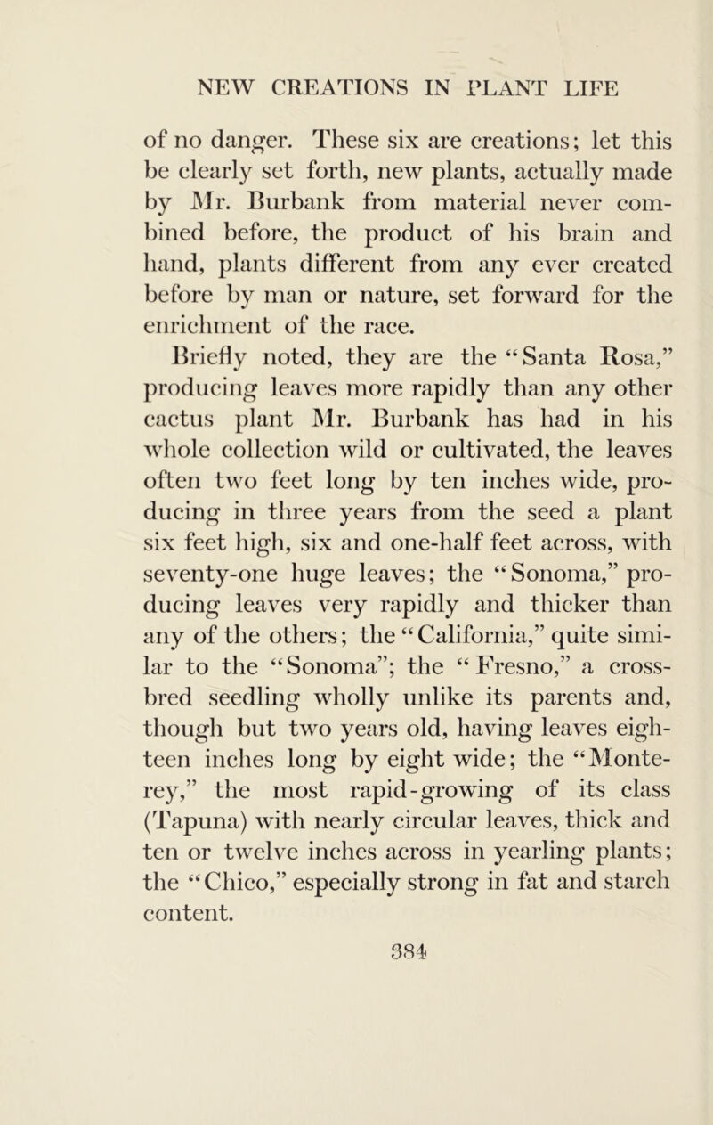 of no danger. These six are ereations; let this be clearly set forth, new plants, actually made by JMr. Burbank from material never com- bined before, the product of bis brain and band, plants different from any ever created before by man or nature, set forward for the enriebment of the race. Briefly noted, they are the “Santa Rosa,” ])rodueing leaves more rapidly than any other cactus plant JMr. Burbank has bad in his wliole collection wild or cultivated, the leaves often two feet long by ten inches wide, pro- ducing in three years from the seed a plant six feet high, six and one-half feet across, with seventy-one huge leaves; the “Sonoma,” pro- ducing leaves very rapidly and thicker than any of the others; the “ California,” quite simi- lar to the “Sonoma”; the “Fresno,” a cross- bred seedling wholly unlike its parents and, though but two years old, having leaves eigh- teen inches long by eight wide; the “IMonte- rey,” the most rapid-growing of its class (Tapuna) with nearly circular leaves, thick and ten or twelve inches across in yearling plants; the “ Chico,” especially strong in fat and starch content.