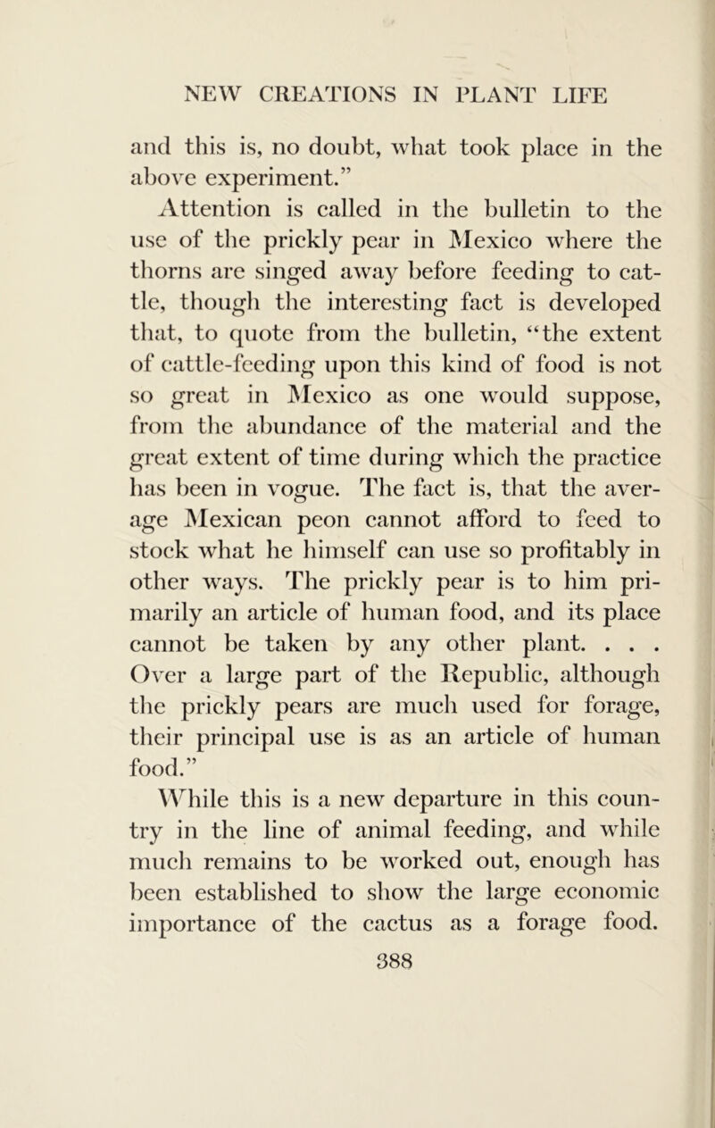 and this is, no doubt, what took place in the above experiment.” Attention is called in the bulletin to the use of the prickly pear in JMexico where the thorns are singed away before feeding to cat- tle, thougli the interesting fact is developed that, to quote from the bulletin, “the extent of cattle-feeding upon this kind of food is not so great in INIexico as one would suppose, from the abundance of the material and the great extent of time during which the practice has been in vogue. The fact is, that the aver- age INIexican peon cannot afford to feed to stock what he himself can use so profitably in other ways. The prickly pear is to him pri- marily an article of human food, and its place cannot be taken by any other plant. . . . Over a large part of the Republic, although tlie prickly pears are much used for forage, their principal use is as an article of human food.” While this is a new departure in this coun- try in the line of animal feeding, and while mucli remains to be worked out, enough has been established to show the large economic importance of the cactus as a forage food.