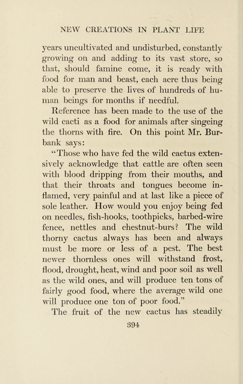 years uncultivated and undisturbed, constantly growing on and adding to its vast store, so that, should famine come, it is ready with food for man and beast, each acre thus being able to preserve the lives of hundreds of hu- man beings for months if needful. Reference has been made to the use of the wild cacti as a food for animals after singeing the thorns with fire. On this point Mr. Bur- bank says: “Those who have fed the wild cactus exten- sively acknowledge that cattle are often seen with blood dripping from their mouths, and that their throats and tongues become in- flamed, very painful and at last like a piece of sole leather. How would you enjoy being fed on needles, fish-hooks, toothpicks, barbed-wire fence, nettles and chestnut-burs? The wild thorny cactus always has been and always must be more or less of a pest. The best newer thornless ones will withstand frost, flood, drought, heat, wind and poor soil as well as the wild ones, and will produce ten tons of fairly good food, where the average wild one will produce one ton of poor food.” The fruit of the new cactus has steadily