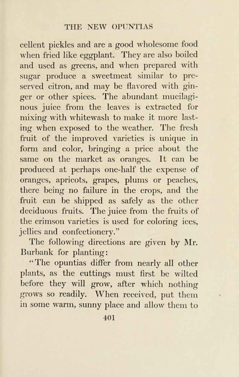 cellent pickles and are a good wholesome food when fried like eggplant. They are also boiled and used as greens, and when prepared with sugar produce a sweetmeat similar to pre- served citron, and may be flavored with gin- ger or other spices. The abundant mucilagi- nous juice from the leaves is extracted for mixing with whitewash to make it more last- ing when exposed to the weather. The fresh fruit of the improved varieties is unique in form and color, bringing a price about the same on the market as oranges. It can be produced at perhaps one-half the expense of oranges, apricots, grapes, plums or peaches, there being no failure in the crops, and the fruit can be shipped as safely as the other deciduous fruits. The juice from the fruits of the crimson varieties is used for coloring ices, jellies and confectionery.” The following directions are given by IMr. Hurbank for planting: “The opuntias differ from nearly all other plants, as the cuttings must first be wilted before they will grow, after which nothing grows so readily. When received, put them in some warm, sunny place and allow them to