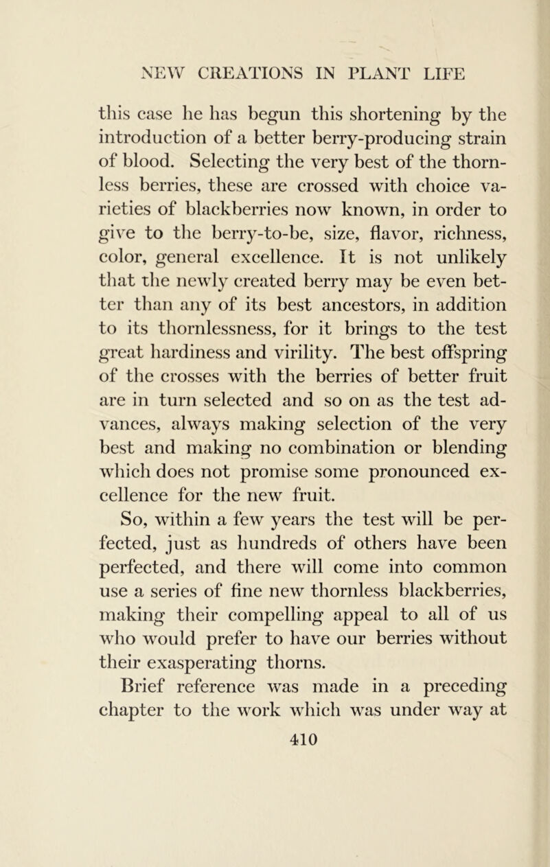 this case he has begun this shortening by the introduction of a better berry-producing strain of blood. Selecting the very best of the thorn- less berries, these are crossed with choice va- rieties of blackberries now known, in order to give to the berry-to-be, size, flavor, richness, color, general excellence. It is not unlikely tliat the newly created berry may be even bet- ter than any of its best ancestors, in addition to its thornlessness, for it brings to the test great hardiness and virility. The best offspring of the crosses with the berries of better fruit are in turn selected and so on as the test ad- vances, always making selection of the very best and making no combination or blending which does not promise some pronounced ex- cellence for the new fruit. So, within a few years the test will be per- fected, just as hundreds of others have been perfected, and there will come into common use a series of fine new thornless blackberries, making their compelling appeal to all of us who would prefer to have our berries without their exasperating thorns. Brief reference was made in a preceding chapter to the work which was under way at