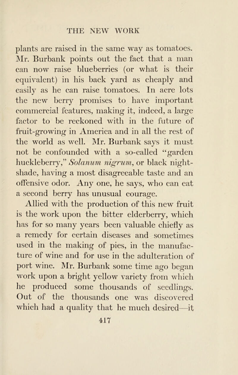 plants are raised in the same way as tomatoes. ]Mr. Burbank points out the fact that a man can now raise blueberries (or what is their equivalent) in his back yard as cheaply and easily as he can raise tomatoes. In acre lots the new berry promises to have important commercial features, making it, indeed, a large factor to be reckoned with in the future of fruit-growing in America and in all the rest of the world as well. IMr. Burbank says it must not be confounded with a so-called “garden huckleberry,” Solanum iii^ruvi, or black niglit- shade, having a most disagreeable taste and an offensive odor. Any one, he says, who can eat a second berry has unusual courage. Allied witli the production of this new fruit is the work upon the bitter elderberry, which lias for so many years been valuable chiefly as a remedy for certain diseases and sometimes used in the making of pies, in the manufac- ture of wine and for use in the adulteration of port wine. Mr. Burbank some time ago began work upon a bright yellow variety from which he produced some thousands of seedlings. Out of the thousands one was discovered which had a quality that he much desired—it