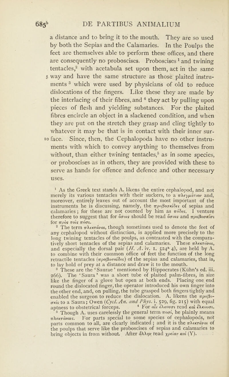 a distance and to bring it to the mouth. They are so iised by both the Sepias and the Calamaries. In the Poulps the feet are themselves able to perform these offices, and there are consequently no proboscises. Proboscises ^ and twining tentacles,^ with acetabula set upon them, act in the sarne 5 way and have the same structure as those plaited instru- ments ^ which were used by physicians of old to reduce dislocations of the fingers. Like these they are made by the interlacing of their fibres,and ^ they act by pulling upon pieces of flesh and yielding substances. For the plaited fibres encircle an object in a slackened condition, and vvhen they are put on the stretch they grasp and cling tightly to whatever it may be that is in contact with their inner sur- io face. Since, thcn, the Cephalopoda have no other instru- ments with which to convey anything to themselves from without, than either twining tentacles,^ as in some species, or proboscises as in others, they are provided with these to serve as hands for offence and defence and other necessary uses. ’ As the Greek text stands A. likens the entire cephalopod, and not merely its various tentacles with their suckers, to a TrXeyfxaTtou and, inoreover, entirely leaves out of account the most important of the instruments he is discussing, namely, the npo^ojKides of sepias and calamaries ; for these are not counted by him as nodes. I venture therefore to suggest that for daois should be read oaais and npo^oaKiai for npbs Tois nbai. ^ The term nXeKrdvai, though sometimes used to denote the feet of any cephalopod without distinclion, is applied more precisely to the long twining tentacles of the poulps, as contrasted with the compara- tively short tentacles of the sepias and calamaries. These n^eKrdvm, and especially the dorsal pair {H. A. \v. i. 524=^ 4), are held by A. to combine with their common office of feet the function of the long retractile tentacles (npo^ofTKides) of the sepias and calamaries, that is, to lay hold of prey at a distance and draw it to the mouth. ^ These are the ‘Saurae ’ mentioned by Hippocrates (Kuhn’s ed. iii. 266). The ‘ Saura ’ was a short tube of plaited palm-fibres, in size like the finger of a glove but open at both ends. Placing one. end round the dislocated finger, the operator introduced his own finger into the other end, and, on pulling, the tube grasped both fingers tightly and enabled the surgeon to reduce the dislocation. A. likens the npo^n- (TKis to a Saura; Owen {Cyc/.An. and Phys. k 529, fig. 215) with equal aptness to obstetrical forceps. ^ For ais (Xkovctl read Ka\ eXKovai. ® Though A. uses carelessly the general term noai, he plainly means nXeKTavais. For parts special to some species of cephalopods, not parts common to all, are clearly indicated ; and it is the nXeKrdvai of the poulps that serve like the proboscises of sepias and calamaries to bring objects in from without. After dXXrjp^ read (Y). -