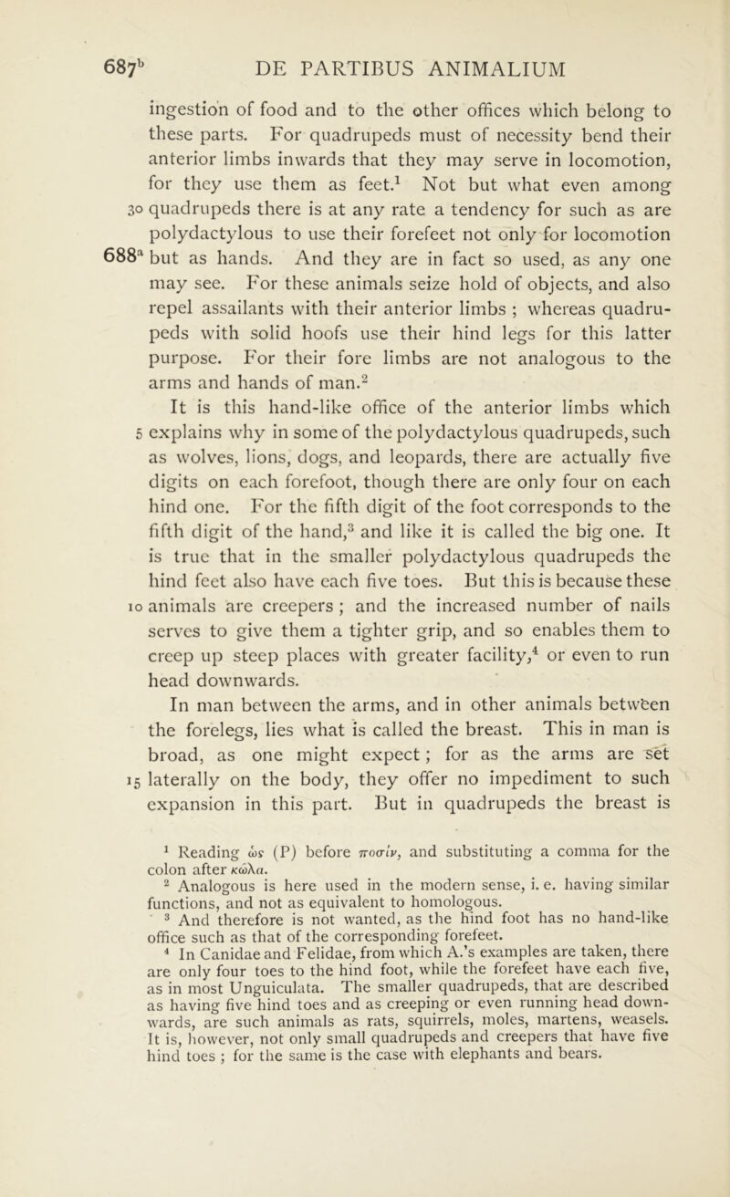 ingestion of food and to the other offices which belong to these parts. For qiiadrupeds must of necessity bend their anterior limbs inwards that they may serve in locomotion, for they use them as feetd Not but what even among 30 quadrupeds there is at any rate a tendency for such as are polydactylous to use their forefeet not only for locomotion 688“ but as hands. And they are in fact so used, as any one may see. P^or these animals seize hold of objects, and also repel assailants with their anterior limbs ; whereas quadru- peds with solid hoofs use their hind legs for this latter purpose. P'or their fore limbs are not analogous to the arms and hands of man.^ It is this hand-like office of the anterior limbs which 5 explains why in someof the polydactylous quadrupeds, such as wolves, lions, dogs, and leopards, there are actually five digits on each forefoot, though there are only four on each hind one. P'or the fifth digit of the foot corresponds to the fifth digit of the hand,^ and like it is called the big one. It is truc that in the smallef polydactylous quadrupeds the hind feet also have each five toes. But this is because these 10 animals are creepers ; and the increased number of nails serves to give them a tighter grip, and so enables them to creep up steep places with greater facility/ or even to run head downwards. In man between the arms, and in other animals betwt^en the forelegs, lies what is called the breast. This in man is broad, as one might expect; for as the arms are ^et 15 laterally on the body, they offer no impediment to such expansion in this part. But in quadrupeds the breast is ^ Reading cos (P) bcfore iroa-iv, and substituting a comma for the colon after #ccoXa. Analogous is here used in the modern sense, i. e. having similar functions, and not as equivalent to homologous. ■ ^ And therefore is not wanted, as the hind foot has no hand-like office such as that of the corresponding forefeet. ^ In Canidae and Felidae, from which A.’s examples are taken, there are only four toes to the hind foot, while the forefeet have each five, as in most Unguiculata. The smaller quadrupeds, that are described as having five hind toes and as creeping or even running head down- wards, are such animals as rats, squirrels, moles, martens, weasels. It is, however, not only small quadrupeds and creepers that have five hind toes ; for the same is the case with elephants and bears.