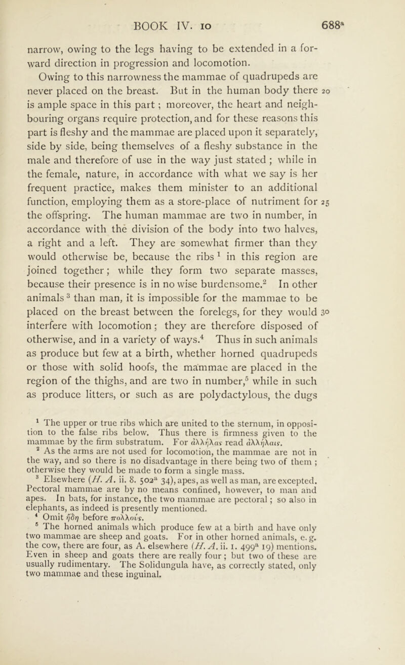 narrow, owing to the legs having to be extended in a for- ward direction in progression and locomotion. Owing to this narrowness the mammae of quadrupeds are never placed on the breast. But in the human body there 20 is ample space in this part; moreover, the heart and neigh- bouring organs require protection, and for these reasons this part is fleshy and the mammae are placed upon it separately, side by side, being themselves of a fleshy substance in the male and therefore of use in the way just stated ; while in the female, nature, in accordance with what we say is her frequent practice, makes them minister to an additional function, employing them as a store-place of nutriment for 25 the offspring. The human mammae are two in number, in accordance with the division of the body into two halves, a right and a left. They are somewhat firmer than they would otherwise be, because the ribs ^ in this region are joined together; while they form two separate masses, because their presence is in no wise burdensome.^ In other animals^ than man, it is impossible for the mammae to be placed on the breast between the forelegs, for they would 30 interiere with locomotion; they are therefore disposed of otherwise, and in a variety of ways.'^ Thus in such animals as produce but few at a birth, whether horned quadrupeds or those with solid hoofs, the mammae are placed in the region of the thighs, and are two in number,® while in such as produce litters, or such as are polydactylous, the dugs ^ The upper or true ribs which are United to the sternum, in opposi- lion to the false ribs below. Thus there is firmness given to the mammae by the firm substratum. For dXXj^Xai- read dXXj/Xatf. ^ As the arms are not used for locomotion, the mammae are not in the way, and so there is no disadvantage in there being two of them ; otherwise they would be made to form a single mass. ^ Elsewhere {H. A. ii. 8. 502^ 34), apes, as well as man, are excepted. Pectoral mammae are by no means confined, however, to man and apes. In bats, for instance, the two mammae are pectoral; so also in elephants, as indeed is presently mentioned. * Omit rjdr] before iroXXnCs. ® The horned animals which produce few at a birth and have only two mammae are sheep and goats. For in other horned animals, e. g. the cow, there are four, as A. elsewhere {//. A. ii. i. 499*^ 19) mentions. Even in sheep and goats there are really four; but two of these are usually rudimentary. The Solidungula have, as correctly stated, only two mammae and these inguinal.