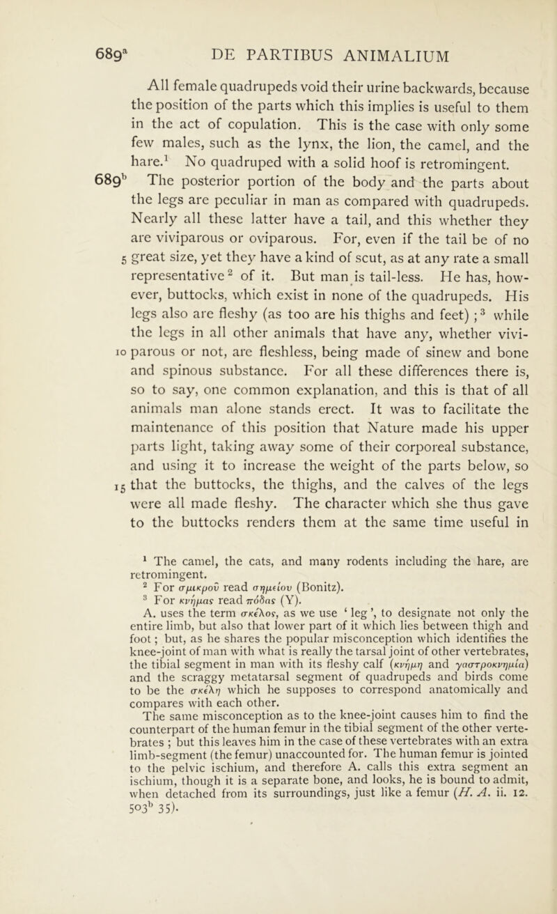 Ali female quadrupeds void their urine backwards, because the position of the parts which this implies is useful to them in the act of copulation. This is the case with only some few males, such as the lynx, the lion, the camel, and the hared No quadriiped with a solid hoof is retromingent. 689^ The posterior portion of the body and the parts about the legs are peciiliar in man as compared with quadrupeds. Nearly ali these latter have a tail, and this whether they are viviparous or oviparous. For, even if the tail be of no 5 great size, yet they have a kind of scut, as at any rate a small representative 2 of it. But man is tail-less. He has, how- ever, buttocks, which exist in none of the quadrupeds. His legs also are fleshy (as too are his thighs and feet) ; ^ while the legs in ali other animals that have any, whether vivi- 10 parous or not, are fleshless, being made of sinew and bone and spinoLis substance. Ior all these differences there is, so to say, one common explanation, and this is that of all animals man alone stands erect. It was to facilitate the maintenance of this position that Nature made his upper parts light, taking away some of their corporeal substance, and using it to increase the weight of the parts below, so 15 that the buttocks, the thighs, and the calves of the legs were all made fleshy. The character which she thus gave to the buttocks renders them at the same time useful in ^ The camel, the cats, and many rodents including the hare, are retromingent. ^ For (rjjLiKpov read (Tijudov (Bonitz). ^ P'or KVTjfias read Trodns (Y). A. uses the term o-/<eXof, as we use ‘ leg ’, to designate not only the entire limb, but also that lower part of it which lies between thigh and foot; but, as he shares the popular misconception which identifies the knee-joint of man with what is really the tarsal joint of other vertebrates, the tibial segment in man with its fleshy calf {Kvrjfirj and yaarpoKvrjpiia) and the scraggy metatarsal segment of quadrupeds and birds come to be the a-KiXr) which he supposes to correspond anatomically and compares with each other. The same misconception as to the knee-joint causes him to find the counterpart of the human femur in the tibial segment of the other verte- brates ; but this leaves him in the case of these vertebrates with an extra limb-segment (the femur) unaccounted for. The human femur is jointed to the pelvic ischium, and therefore A. calls this extra segment an ischium, though it is a separate bone, and looks, he is bound to admit, when detached from its surroundings, just like a femur {H. A. ii. 12. 503^ 35)-