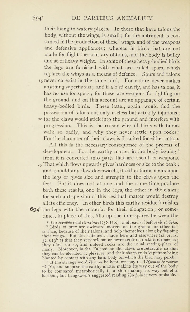 their living in watery places. In those that have talons the body, without the wings, is small ; for the nutriment is con- sumed in the production of these^ wings, and of the weapons and defensive appliances; whereas in birds that are not made for flight the contrary obtains, and the body is bulky and so of heavy weight. In some of these heavy-bodied birds the legs are furnished with what are called spurs, which replace the wings as a means of defence. Spurs and talons 15 never co-exist in the same bird. I^or nature never makes anything superfluous ; and if a bird can fly, and has talons, it has no use for spurs ; for these are weapons for fighting on the ground, and on this account are an appanage of certain heavy-bodied birds. These latter, again, would find the possession of talons not only useless but actually injurious; 20 for the claws would stick into the ground and interfere with progression. This is the reason why all birds with talons walk so badly, and why they never settle upon rocks.^ I'or the character of their claws is ill-suited for either action. All this is the necessary consequence of the process of development. P^or the earthy matter in the body issuing ^ from it is converted into parts that are useful as weapons. 25 That which flows upwards gives hardness or size to the beak ; and, should any flow downwards, it either forms spurs upon the legs or gives size and strength to the claws upon the feet. But it does not at one and the same time produce both these results, one in the legs, the other in the claws; for such a dispersion of this residual matter would destroy all its efficiency. In other birds this earthy residue furnishes 694^ the legs with the material for their elongation ; or some- times, in place of this, filis up the interspaces between the ^ For ivravda read eis ravras (Q S U Z); and read Kai before eU ra oTrXa. ^ Birds of prey are awkward movers on the ground or other flat surface, because of their talons, and help themselves along by flapping their wings. But the statement made here and elsewhere {H. A. ix. 32. 619^’ 7) that they very seldom or never settle on rocks is erroneous ; they often do so, and indeed rocks are the usual resting-place of many. Moreover, in the Falconidae the claws are retractile, so that they can be elevated at pleasure, and their sharp ends keptfrom being blunted by contact with any hard body on which the bird inay perch. ^ If the strange word e^opfxov be kept, we may read e^op^ov eV tovtov TU (Y), and suppose the earthy matter making its way out of the body to be compared metaphorically to a ship making its way out of a harboLir, but Langlcavebs suggested reading e|a) pviv is very probable.
