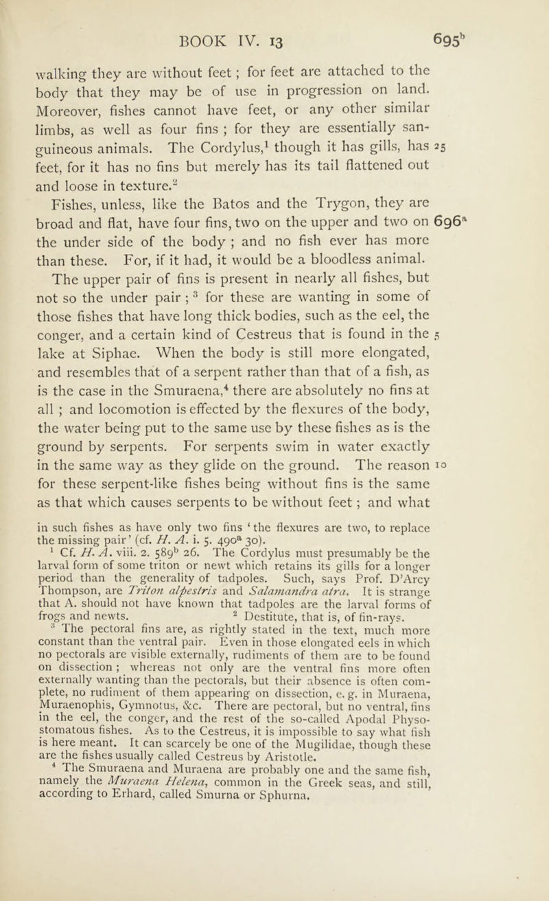 walking they are withoiit feet; for feet are attached to the body that they may be of use in progression on land. Moreover, fishes cannot have feet, or any other similar limbs, as vvell as four fins ; for they are essentially san- guineous animals. The Cordylus,^ though it has gihs, has 25 feet, for it has no fins but merely has its tail flattened out and loose in texture.^ Fishes, unless, like the Batos and the Trygon, they are broad and flat, have four fins, two on the upper and two on 696* the under side of the body ; and no fish ever has more than these. For, if it had, it would be a bloodless animal. The upper pair of fins is present in nearly all fishes, but not so the under pair ; ^ for these are wanting in some of those fishes that have long thick bodies, such as the eel, the conger, and a certain kind of Cestreus that is found in the 5 lake at Siphae. When the body is stili more elongated, and resembles that of a serpent rather than that of a fish, as is the case in the Smuracna,'^ there are absolutely no fins at all ; and locomotion iseftected by the flexurcs of the body, the water being put to the same use by these fishes as is the ground by serpents. For serpents swim in water exactly in the same way as they glide on the ground. The rcason 10 for these serpent-like fishes being without fins is the same as that which causes serpents to be without feet; and what in such fishes as have only two fins ‘ the flexures are two, to replace the missing pair’ (cf. H. A. i. 5. 490^ 30). ' Cf. H. A. viii. 2. 589'' 26. The Cordylus must presumably be the larval fonn of some triton or newt which retains its gills for a longer period than the generality of tadpoles. Such, says Prof. D’Arcy Thompson, are Triton alpestris and Salaniandra atra. It is strange that A. should not have known that tadpoles are the larval forms of frogs and newts. 2 Destitute, that is, of fin-rays. ^ The pectoral fins are, as rightly stated in the text, much more constant than the ventral pair. Even in those elongated eels in which no pectorals are visible externally, rudiments of them are to be found on dissection ; whereas not only are the ventral fins more often externally wanting than the pectorals, but their absence is often com- plete, no rudiment of them appearing on dissection, c. g. in Muraena, Muraenophis, Gymnotus, &c. There are pectoral, but no ventral, fins in the eel, the conger, and the rest of the so-called Apodal Physo- stomatous fishes. As to the Cestreus, it is impossible to say what fish is here meant. It can scarcely be one of the Mugilidae, though these are the fishes usually called Cestreus by Aristotle. ■* The Smuraena and Muraena are probably one and the same fish, namely the Mtiraena Helena, common in the Greek seas, and stili, accorcling to Erhard, called Smurna or Sphurna.