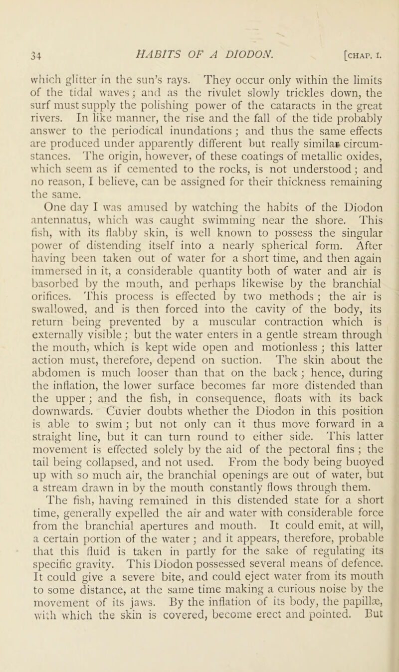 which glitter in the sun’s rays. They occur only within the limits of the tidal waves; and as the rivulet slowly trickles down, the surf must supply the polishing power of the cataracts in the great rivers. In like manner, the rise and the fall of the tide probably answer to the periodical inundations ; and thus the same effects are produced under apparently different but really similar circum- stances. The origin, however, of these coatings of metallic oxides, which seem as if cemented to the rocks, is not understood; and no reason, I believe, can be assigned for their thickness remaining the same. One day I was amused by watching the habits of the Diodon antennatus, which was caught swimming near the shore. This fish, with its fiabby skin, is well known to possess the singular power of distending itself into a nearly spherical form. After having been taken out of water for a short time, and then again immersed in it, a considerable quantity both of water and air is basorbed by the mouth, and perhaps likewise by the branchial orifices. This process is effected by two methods ; the air is swallowed, and is then forced into the cavity of the body, its return being prevented by a muscular contraction which is externally visible; but the water enters in a gentle stream through the mouth, which is kept wide open and motionless ; this latter action must, therefore, depend on suction. The skin about the abdomen is much looser than that on the back ; hence, during the inflation, the lower surface becomes far more distended than the upper; and the fish, in consequence, floats with its back downwards. Cuvier doubts whether the Diodon in this position is able to swim ; but not only can it thus move forward in a straight line, but it can turn round to either side. This latter movement is effected solely by the aid of the pectoral fins ; the tail being collapsed, and not used. From the body being buoyed up with so much air, the branchial openings are out of water, but a stream drawn in by the mouth constantly flows through them. The fish, having remained in this distended state for a short time, generally expelled the air and water with considerable force from the branchial apertures and mouth. It could emit, at will, a certain portion of the water ; and it appears, therefore, probable that this fluid is taken in partly for the sake of regulating its specific gravity. This Diodon possessed several means of defence. It could give a severe bite, and could eject water from its mouth to some distance, at the same time making a curious noise by the movement of its jaws. By the inflation of its body, the papillce, with which the skin is covered, become erect and pointed. But