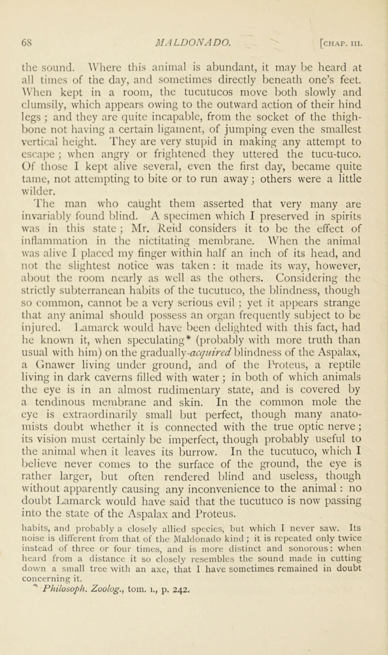the sound. Where this animal is abundant, it may be heard at all times of the day, and sometimes directly beneath one’s feet. A\dien kept in a room, the tucutucos move both slowly and clumsily, which appears owing to the outward action of their hind legs ; and they are quite incapable, from the socket of the thigh- bone not having a certain ligament, of jumping even the smallest vertical height. They are very stupid in making any attempt to escajie ; when angry or frightened they uttered the tucu-tuco. Of those 1 kept alive several, even the first day, became quite tame, not attempting to bite or to run away; others were a little wilder. d'he man who caught them asserted that very many are invariably found blind. A specimen which I preserved in spirits was in this state ; Mr. Reid considers it to be the effect of infiammation in the nictitating membrane. When the animal was alive I placed my finger within half an inch of its head, and not the slightest notice was taken ; it made its way, however, about the room nearly as well as the others. Considering the strictly subterranean habits of the tucutuco, the lilindness, though so common, cannot be a very serious evil ; yet it appears strange that any animal should possess an organ frecjuently subject to be injured. Lamarck would have been delighted with this fact, had he known it, when speculating* (probably with more truth than usual with him) on the gradually-rt^ry/Rr^r^/blindness of the Aspalax, a (inawer living under ground, and of the I'roteus, a reptile living in dark caverns filled with water; in both of which animals the eye is in an almost rudimentary state, and is covered by a tendinous membrane and skin. In the common mole the eye is extraordinarily small but perfect, though many anato- mists doubt whether it is connected with the true optic nerve; its vision must certainly be imperfect, though probably useful to the animal when it leaves its burrow. In the tucutuco, which I believe never comes to the surface of the ground, the eye is rather larger, but often rendered blind and useless, though without apparently causing any inconvenience to the animal : no doubt Lamarck would have said that the tucutuco is now passing into the state of the Aspalax and Proteus. habits, and probably a closely allied species, but which I never saw. Its noise is different from that of the Maldonado kind ; it is repeated only twice instead of three or four times, and is more distinct and sonorous: wdien heard from a distance it so closely resembles the sound made in cutting down a small tree with an axe, that I have sometimes remained in doubt concerning it. Philosoph. Zoolog., tom. i., p. 242.