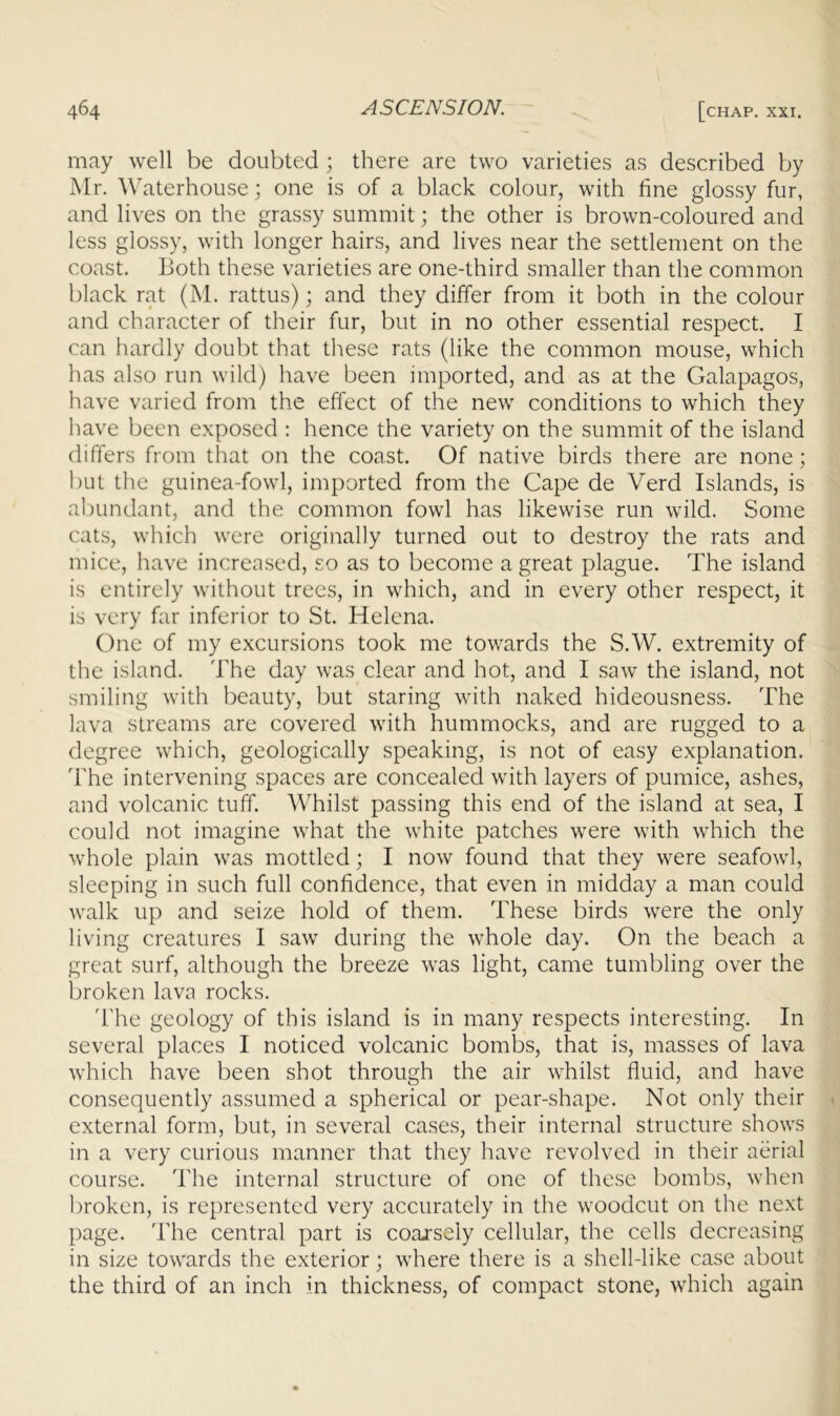may well be doubted ; there are two varieties as described by Mr. Waterhouse; one is of a black colour, with fine glossy fur, and lives on the grassy summit; the other is brown-coloured and less glossy, with longer hairs, and lives near the settlement on the coast. Both these varieties are one-third smaller than the common black rat (M. rattus); and they differ from it both in the colour and character of their fur, but in no other essential respect. I can hardly doubt that these rats (like the common mouse, which has also run wild) have been imported, and as at the Galapagos, have varied from the effect of the new conditions to which they have been exposed ; hence the variety on the summit of the island differs from that on the coast. Of native birds there are none; but the guinea-fowl, imported from the Cape de Verd Islands, is abundant, and the common fowl has likewise run wild. Some cats, which were originally turned out to destroy the rats and mice, have increased, so as to become a great plague. The island is entirely without trees, in which, and in every other respect, it is very far inferior to St. Helena. One of my excursions took me towards the S.W. extremity of the island. The day was clear and hot, and I saw the island, not smiling with beauty, but staring with naked hideousness. The lava streams are covered with hummocks, and are rugged to a degree which, geologically speaking, is not of easy explanation. The intervening spaces are concealed with layers of pumice, ashes, and volcanic tuff. AVhilst passing this end of the island at sea, I could not imagine what the white patches were with which the whole plain was mottled; I now found that they were seafowl, sleeping in such full confidence, that even in midday a man could walk up and seize hold of them. These birds were the only living creatures I saw during the whole day. On the beach a great surf, although the breeze was light, came tumbling over the broken lava rocks. ddie geology of this island is in many respects interesting. In several places I noticed volcanic bombs, that is, masses of lava which have been shot through the air whilst fluid, and have consequently assumed a spherical or pear-shape. Not only their external form, but, in several cases, their internal structure shows in a very curious manner that they have revolved in their aerial course. The internal structure of one of these bombs, when broken, is represented very accurately in the woodcut on the next page, 'i'he central part is coarsely cellular, the cells decreasing in size towards the exterior; where there is a shell-like case about the third of an inch in thickness, of compact stone, which again