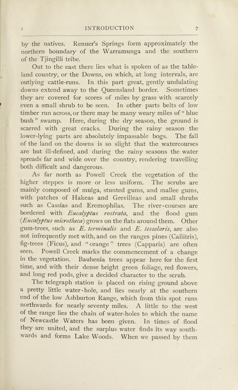 by the natives. Renner’s Springs form approximately the northern boundary of the Warramunga and the southern of the Tjingilli tribe. Out to the east there lies what is spoken of as the table- land country, or the Downs, on which, at long intervals, are outlying cattle-runs. In this part great, gently undulating downs extend away to the Queensland border. Sometimes they are covered for scores of miles by grass with scarcely even a small shrub to be seen. In other parts belts of low timber run across, or there may be many weary miles of “ blue bush ” swamp. Here, during the dry season, the ground is scarred with great cracks. During the rainy season the lower-lying parts are absolutely impassable bogs. The fall of the land on the downs is so slight that the watercourses are but ill-defined, and during the rainy seasons the water spreads far and wide over the country, rendering travelling both difficult and dangerous. As far north as Powell Creek the vegetation of the higher steppes is more or less uniform. The scrubs are mainly composed of mulga, stunted gums, and mallee gums, with patches of Hakeas and Grevilleas and small shrubs such as Cassias and Eremophilas. The river-courses are bordered with Eucalyptus rostrata, and the flood gum (-Eucalyptus microtheca) grows on the flats around them. Other gum-trees, such as E. tenninalis and E. tesselaris, are also not infrequently met with, and on the ranges pines (Callitris), fig-trees (Ficus), and “ orange ” trees (Capparis) are often seen. Powell Creek marks the commencement of a change in the vegetation. Bauhenia trees appear here for the first time, and with their dense bright green foliage, red flowers, and long red pods, give a decided character to the scrub. The telegraph station is placed on rising ground above a pretty little water-hole, and lies nearly at the southern end of the low Ashburton Range, which from this spot runs northwards for nearly seventy miles. A little to the west of the range lies the chain of water-holes to which the name of Newcastle Waters has been given. In times of flood they are united, and the surplus water finds its way south- wards and forms Lake Woods. When we passed by them