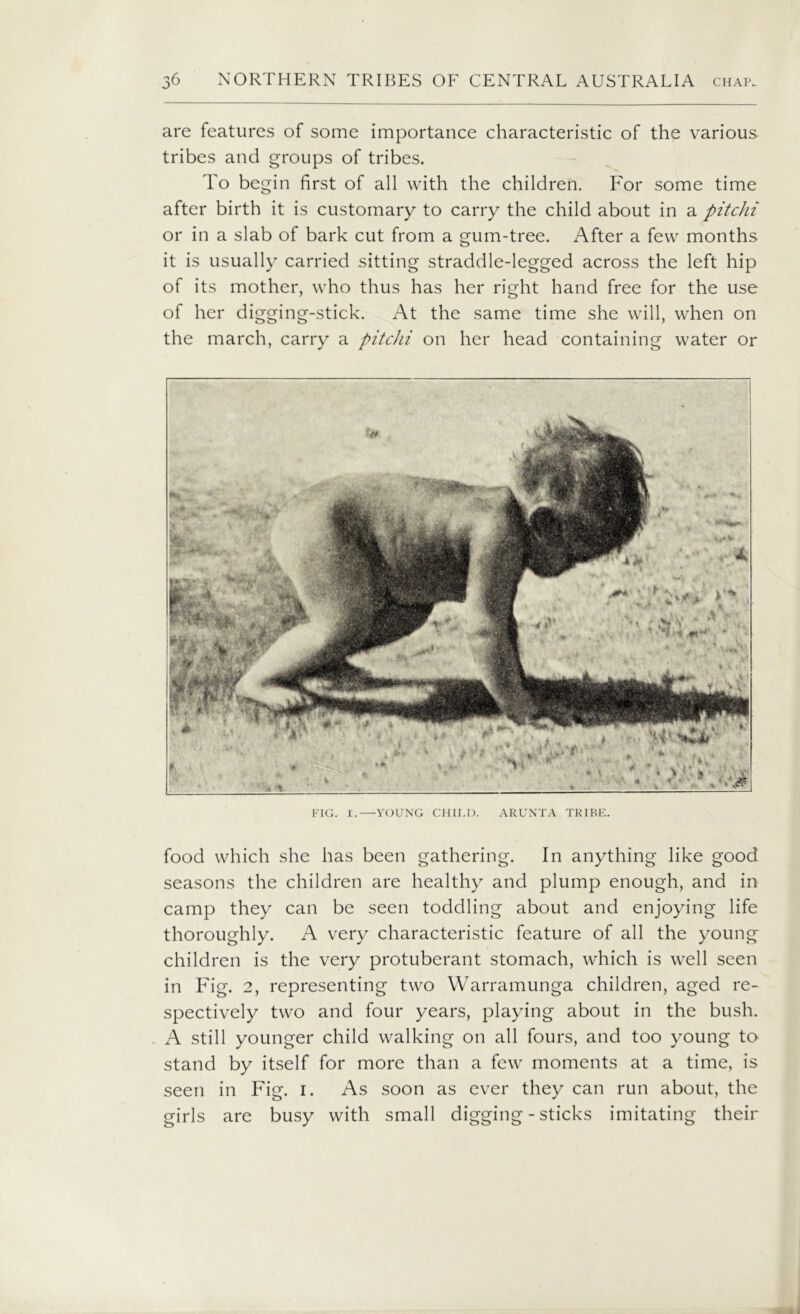 are features of some importance characteristic of the various tribes and groups of tribes. To begin first of all with the children. For some time after birth it is customary to carry the child about in a pitchi or in a slab of bark cut from a gum-tree. After a few months it is usually carried sitting straddle-legged across the left hip of its mother, who thus has her right hand free for the use of her digging-stick. At the same time she will, when on the march, carry a pitchi on her head containing water or FIG. I.—YOUNG CHILD. ARUNTA TRIBE. food which she has been gathering. In anything like good seasons the children are healthy and plump enough, and in camp they can be seen toddling about and enjoying life thoroughly. A very characteristic feature of all the young children is the very protuberant stomach, which is well seen in Fig. 2, representing two Warramunga children, aged re- spectively two and four years, playing about in the bush. A still younger child walking on all fours, and too young to stand by itself for more than a few moments at a time, is seen in Fig. i. As soon as ever they can run about, the girls are busy with small digging - sticks imitating their