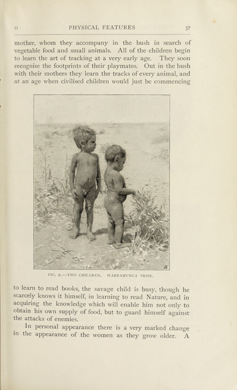 mother, whom they accompany in the bush in search of vegetable food and small animals. All of the children begin to learn the art of tracking at a very early age. They soon recognise the footprints of their playmates. Out in the bush with their mothers they learn the tracks of every animal, and at an age when civilised children would just be commencing FIG. 2.—TWO CHILDREN. WARRAMUNGA TRIBE. to learn to read books, the savage child is busy, though he scarcely knows it himself, in learning to read Nature, and in acquiring the knowledge which will enable him not only to obtain his own supply of food, but to guard himself against the attacks of enemies. In personal appearance there is a very marked change in the appearance of the women as they grow older. A