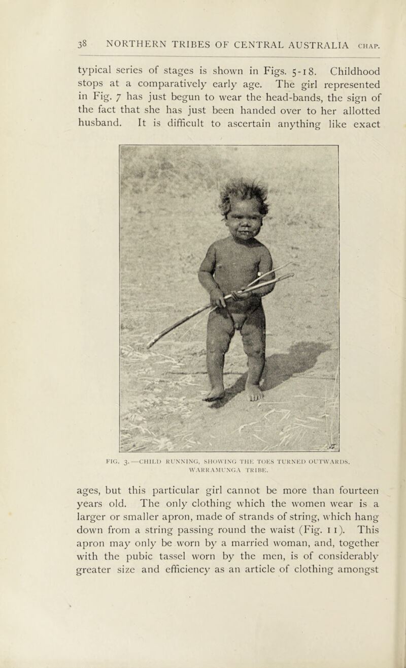 typical series of stages is shown in Figs. 5-18. Childhood stops at a comparatively early age. The girl represented in h ig. 7 has just begun to wear the head-bands, the sign of the fact that she has just been handed over to her allotted husband. It is difficult to ascertain anything like exact FIG. 3.—CHILI) RUNNING, SHOWING THE TOES TURNED OUTWARDS. WARKAMUNGA TRIBE. ages, but this particular girl cannot be more than fourteen years old. The only clothing which the women wear is a larger or smaller apron, made of strands of string, which hang down from a string passing round the waist (Fig. 1 1). This apron may only be worn by a married woman, and, together with the pubic tassel worn by the men, is of considerably greater size and efficiency as an article of clothing amongst