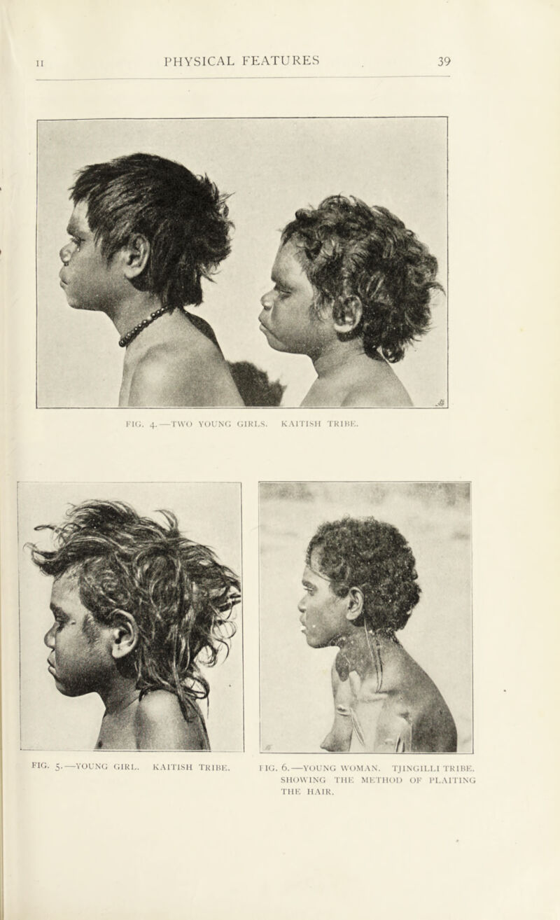 FIG. 4.—TWO YOUNG GIRLS. KAITISH TRIBE FIG. 5.—YOUNG GIRL. KAITISH TRIBE. FIG. 6.—YOUNG WOMAN. TJINGILLI TRIBE. SHOWING THE METHOD OF PLAITING THE HAIR.