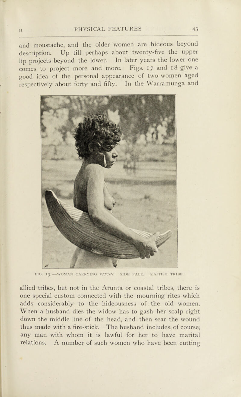 FIG. 13.—WOMAN CARRYING PITCH/. SI1)K FACE. KA1TISH TRIBE. allied tribes, but not in the Arunta or coastal tribes, there is one special custom connected with the mourning rites which adds considerably to the hideousness of the old women. When a husband dies the widow has to gash her scalp right down the middle line of the head, and then sear the wound thus made with a fire-stick. The husband includes, of course, any man with whom it is lawful for her to have marital relations. A number of such women who have been cutting and moustache, and the older women are hideous beyond description. Up till perhaps about twenty-five the upper lip projects beyond the lower. In later years the lower one comes to project more and more. I;'igs. 17 and 1 8 give a good idea of the personal appearance of two women aged respectively about forty and fifty. In the Warramunga and