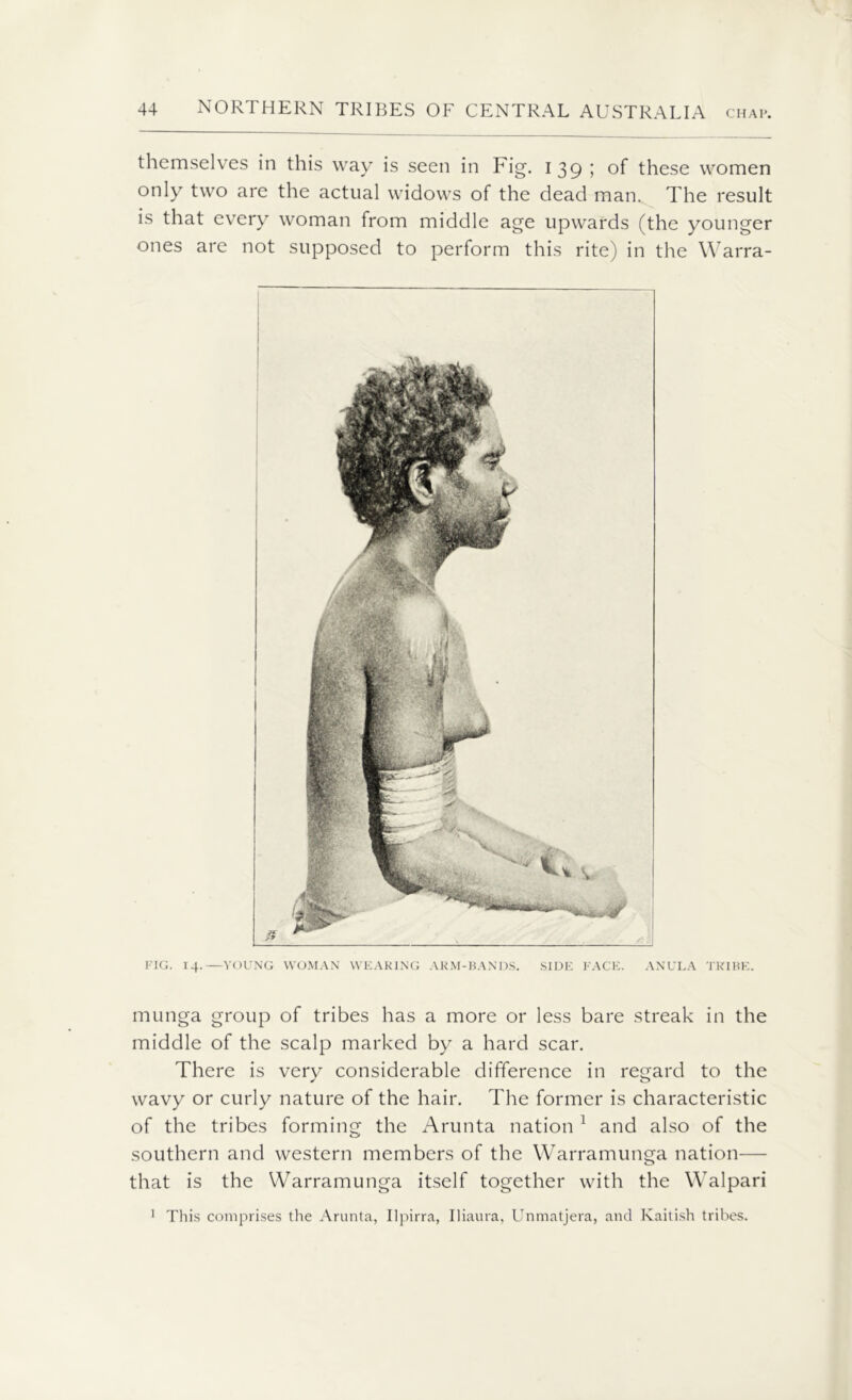 themselves in this way is seen in Fig. 139; of these women only two are the actual widows of the dead man. The result is that every woman from middle age upwards (the younger ones are not supposed to perform this rite) in the Warra- FIG. 14.—YOUNG WOMAN WEARING ARM-BANDS. SIDE FACE. ANULA TRIBE. munga group of tribes has a more or less bare streak in the middle of the scalp marked by a hard scar. There is very considerable difference in regard to the wavy or curly nature of the hair. The former is characteristic of the tribes forming the Arunta nation 1 and also of the southern and western members of the Warramunga nation— that is the Warramunga itself together with the Walpari 1 This comprises the Arunta, Ilpirra, Iliaura, Unmatjera, and Kaitish tribes.